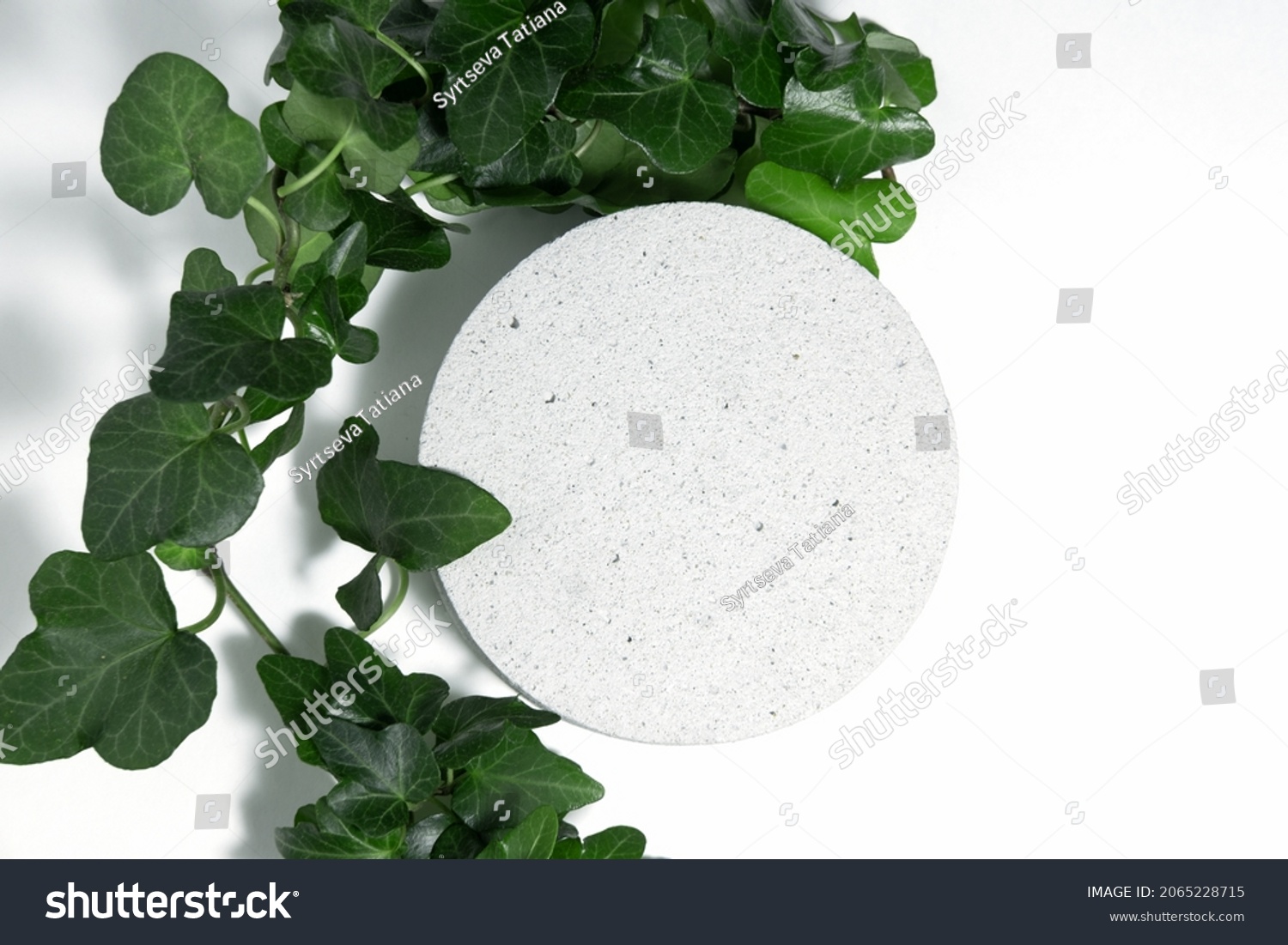 A podium made of concrete with green leaves of an ivy plant for the presentation of packaging and cosmetics, top view, on a white background. Product display with white concrete stone texture #2065228715