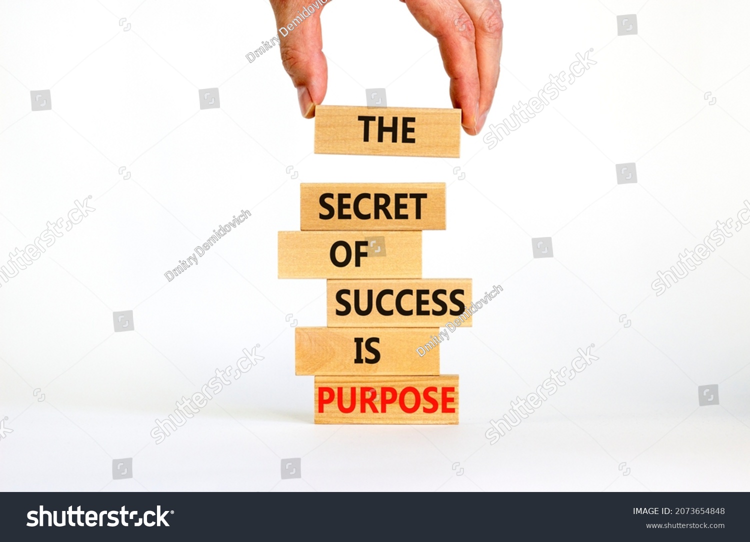 Success and purpose symbol. Wooden blocks with concept words The secret of success is purpose. Beautiful white background, copy space. Businessman hand. Business, success and purpose concept. #2073654848