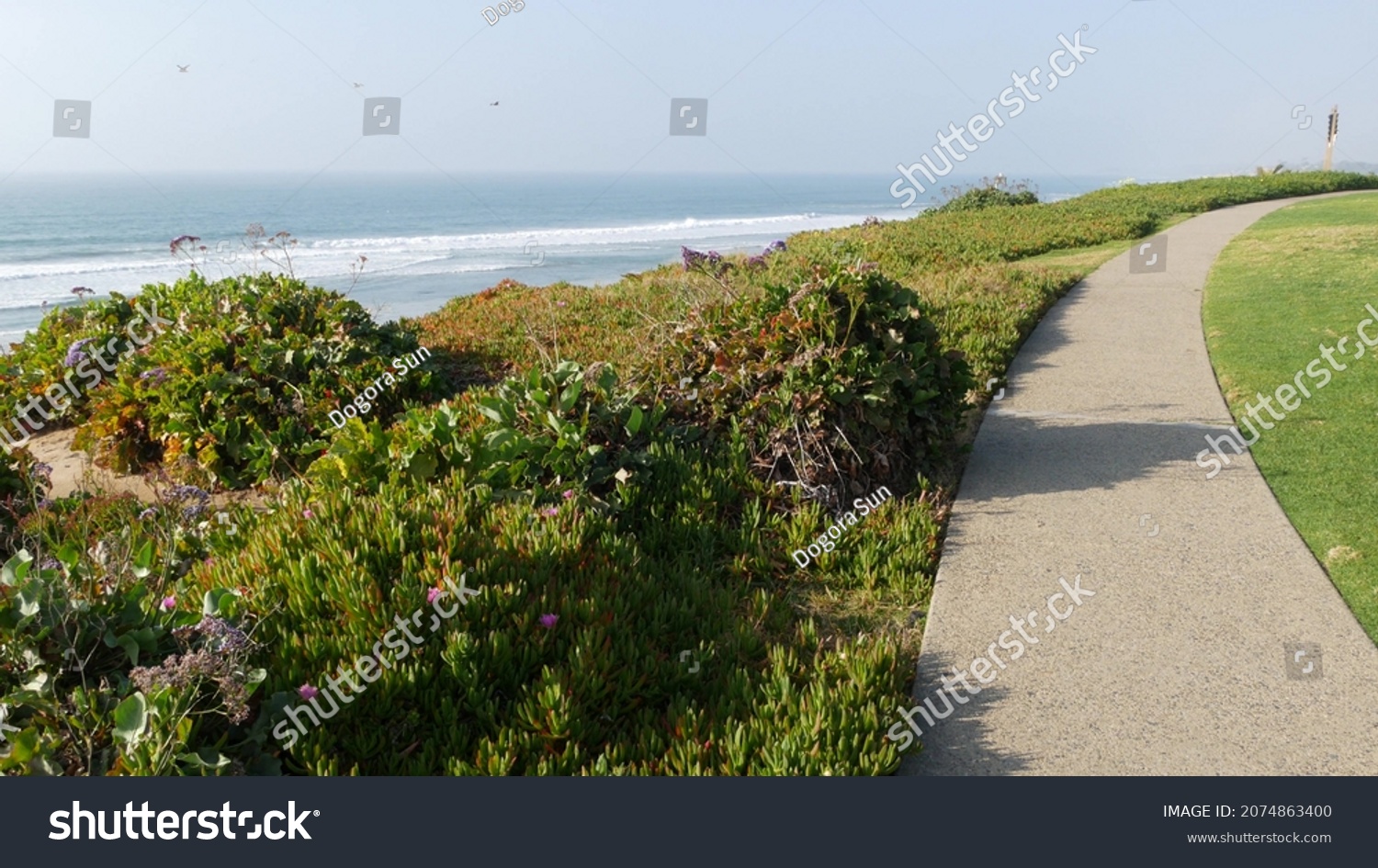 Seagrove recreation beach park in Del Mar, California USA. Seaside garden with lawn in waterfront resort. Green grass and ocean coast view from above. Picturesque coastline vista point on steep hill. #2074863400