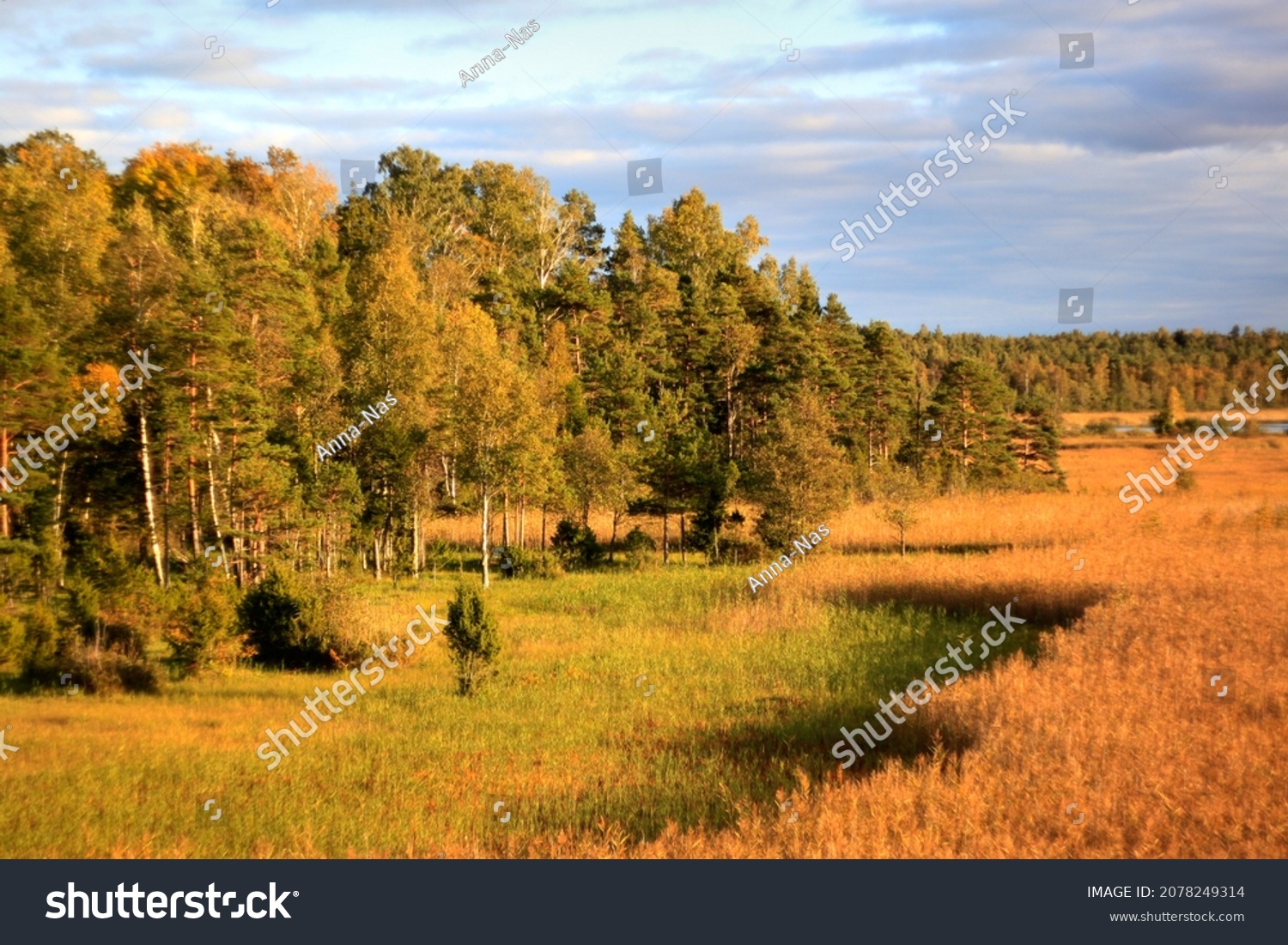 Awesome scenery on the autumn field and forest. Selective focus. High quality photo #2078249314