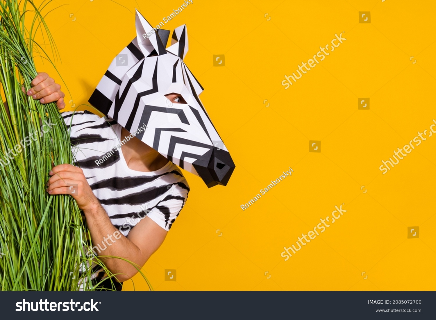 Photo of funny funky guy dressed wild animal costume hiding behind high grass looking empty space isolated yellow color background #2085072700