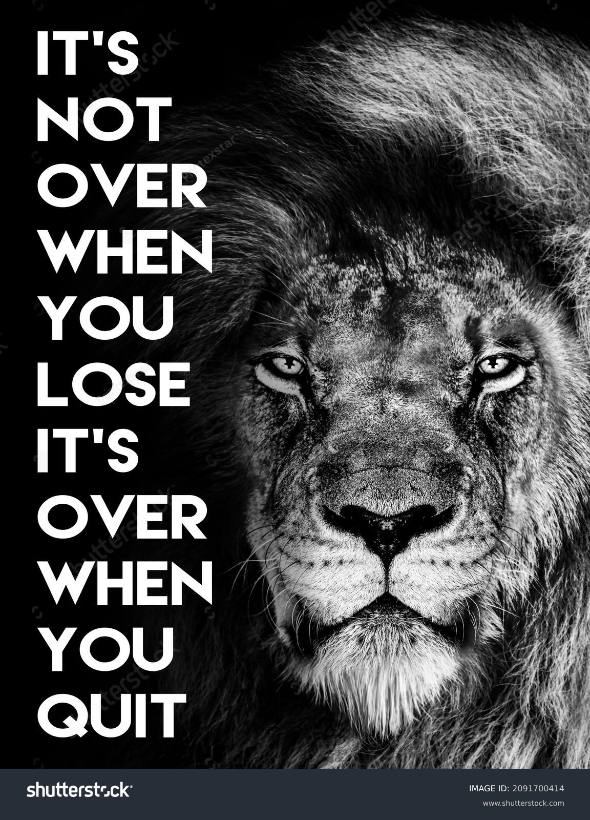 Lion , Inspirational Motivational quote , it`s not over when you lose it`s over when you quit #2091700414