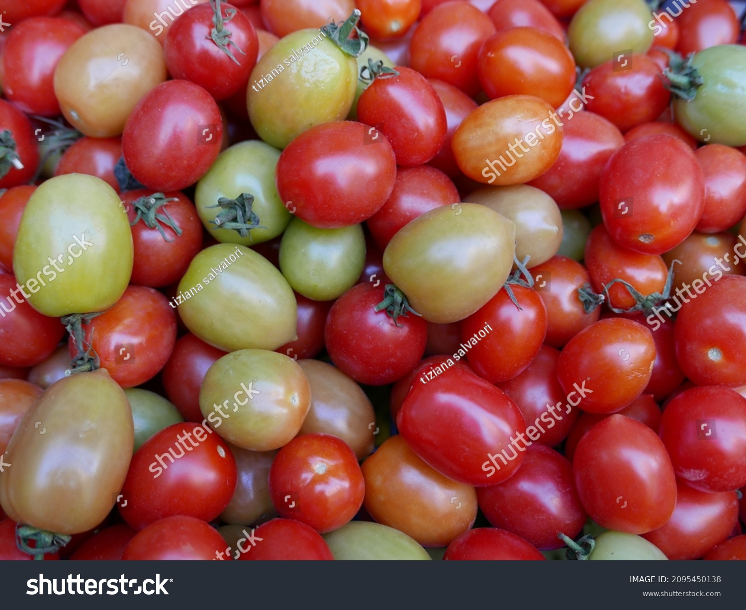 large quantity of green and red tomatoes at the market #2095450138