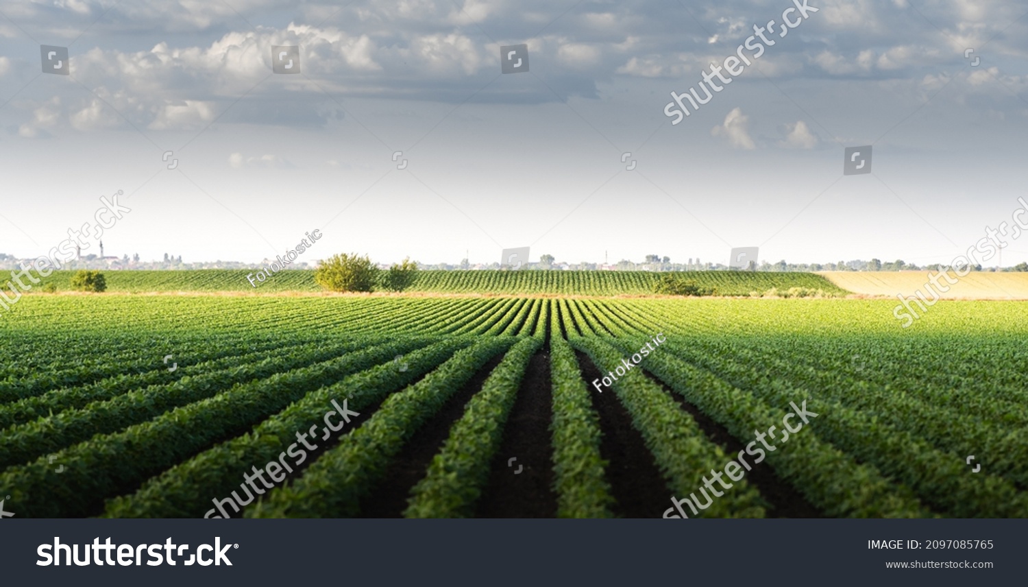 Image of rain-laden clouds arriving over a large soy plantation #2097085765