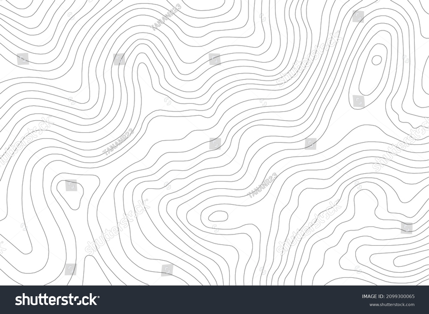 Abstract Topographic Contour Line Pattern in Black and White #2099300065