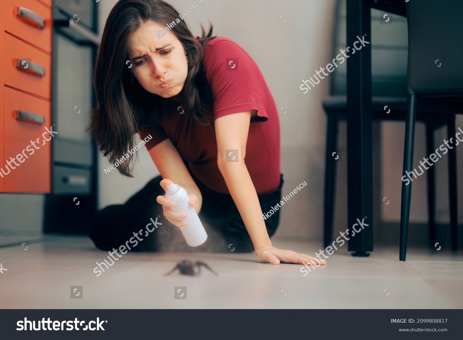 
Woman Spraying with Insecticide Over an Ant on the Kitchen Floor. Homeowner dealing with pest infestation problem in her own apparent
 #2099808817