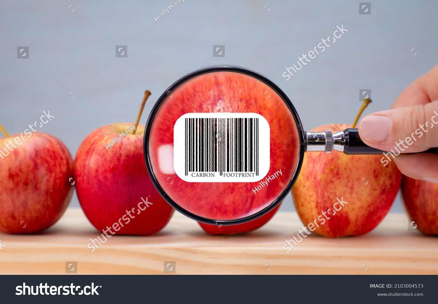 Carbon footprint bar code label on apple magnified by magnifying lens, environmental impact of food customer sustainability label on food #2103004573
