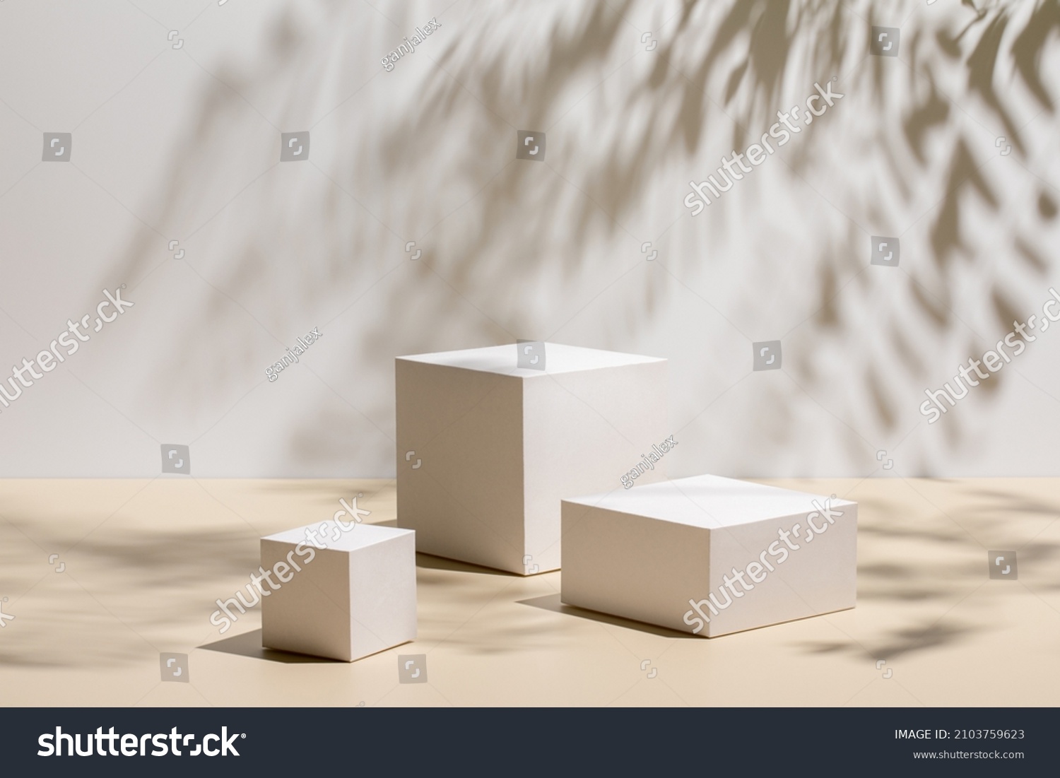 Abstract minimal nature scene - empty stage with three white rectangle podiums on beige background and shadows of tree leaves. Pedestal for cosmetic product and packaging mockups display presentation #2103759623