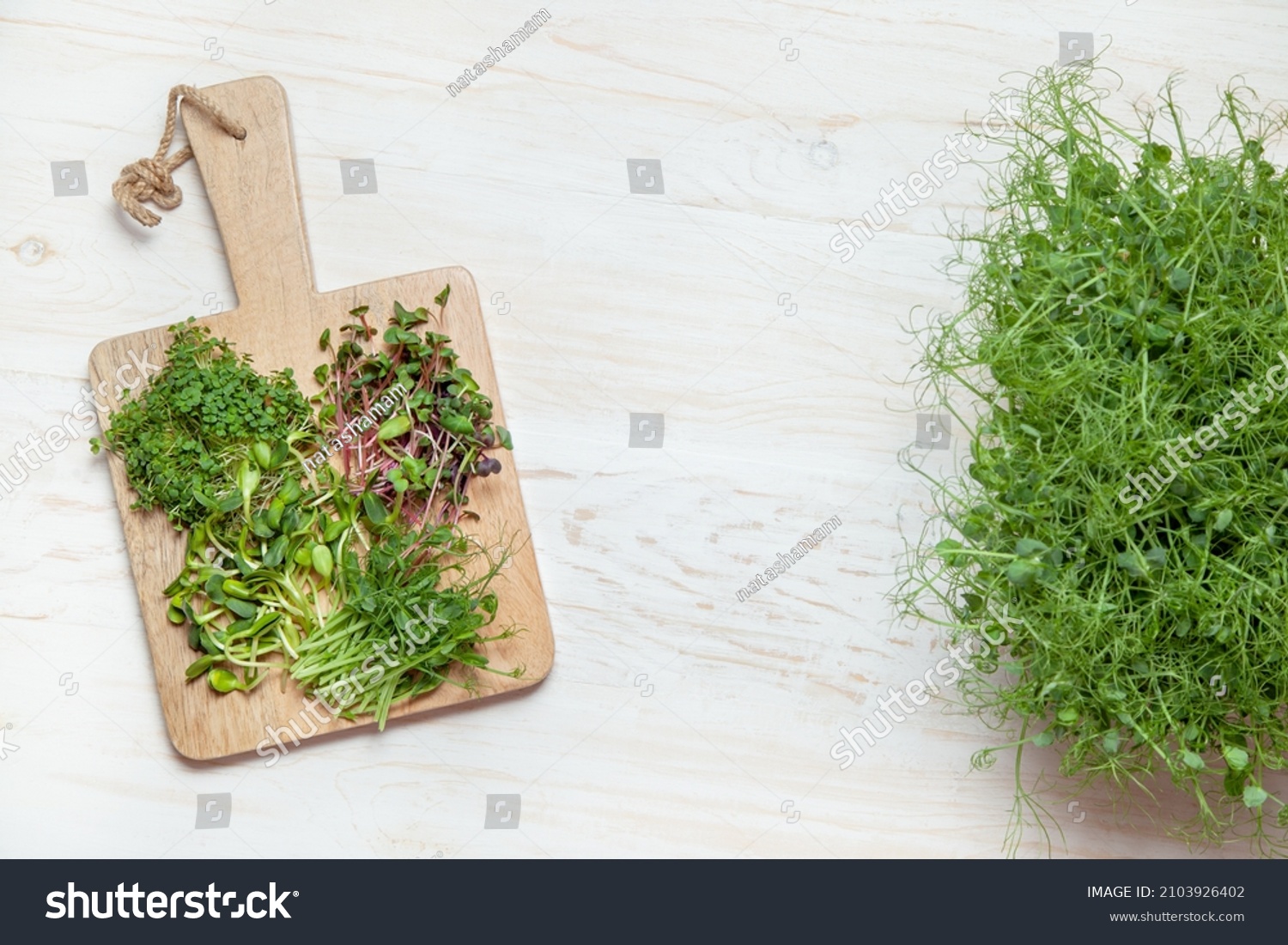 Microgreens growing on the wooden table. Top view. #2103926402