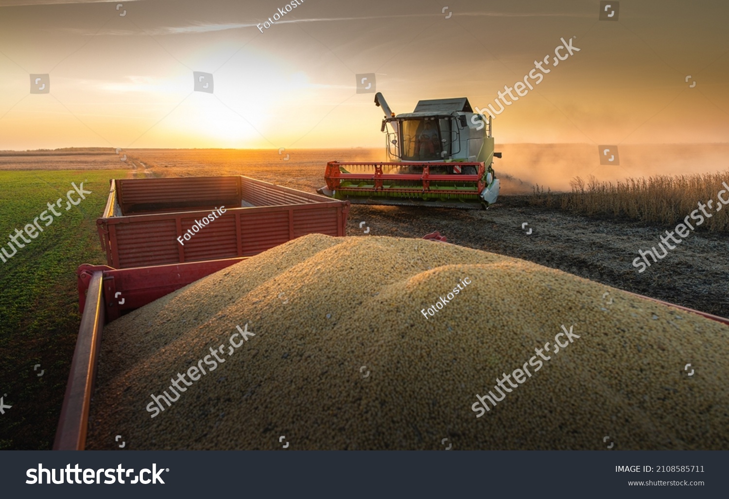 A combine harvesting soybeans at sunset #2108585711