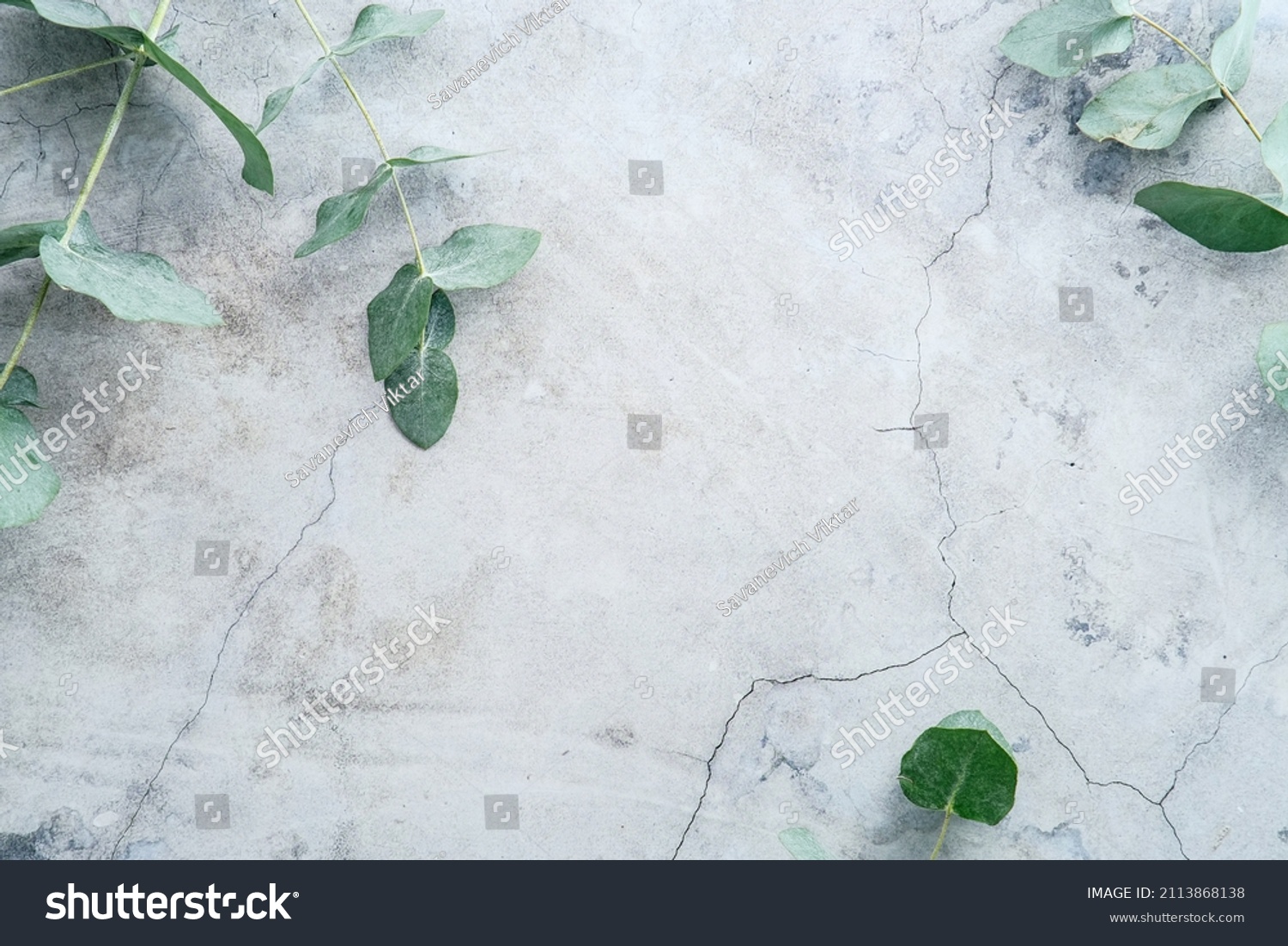 Eucalyptus branches on stone surface. Flat lay, top view, overhead. #2113868138