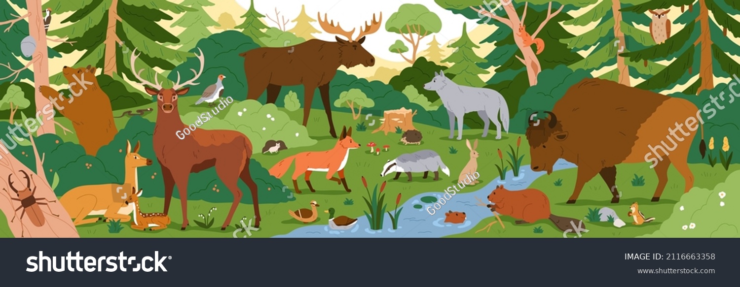 Forest animals in wild nature. Environment landscape with trees and habitats. Biodiversity of flora and fauna in temperate woods. Wildlife in woodland panorama. Colored flat vector illustration #2116663358