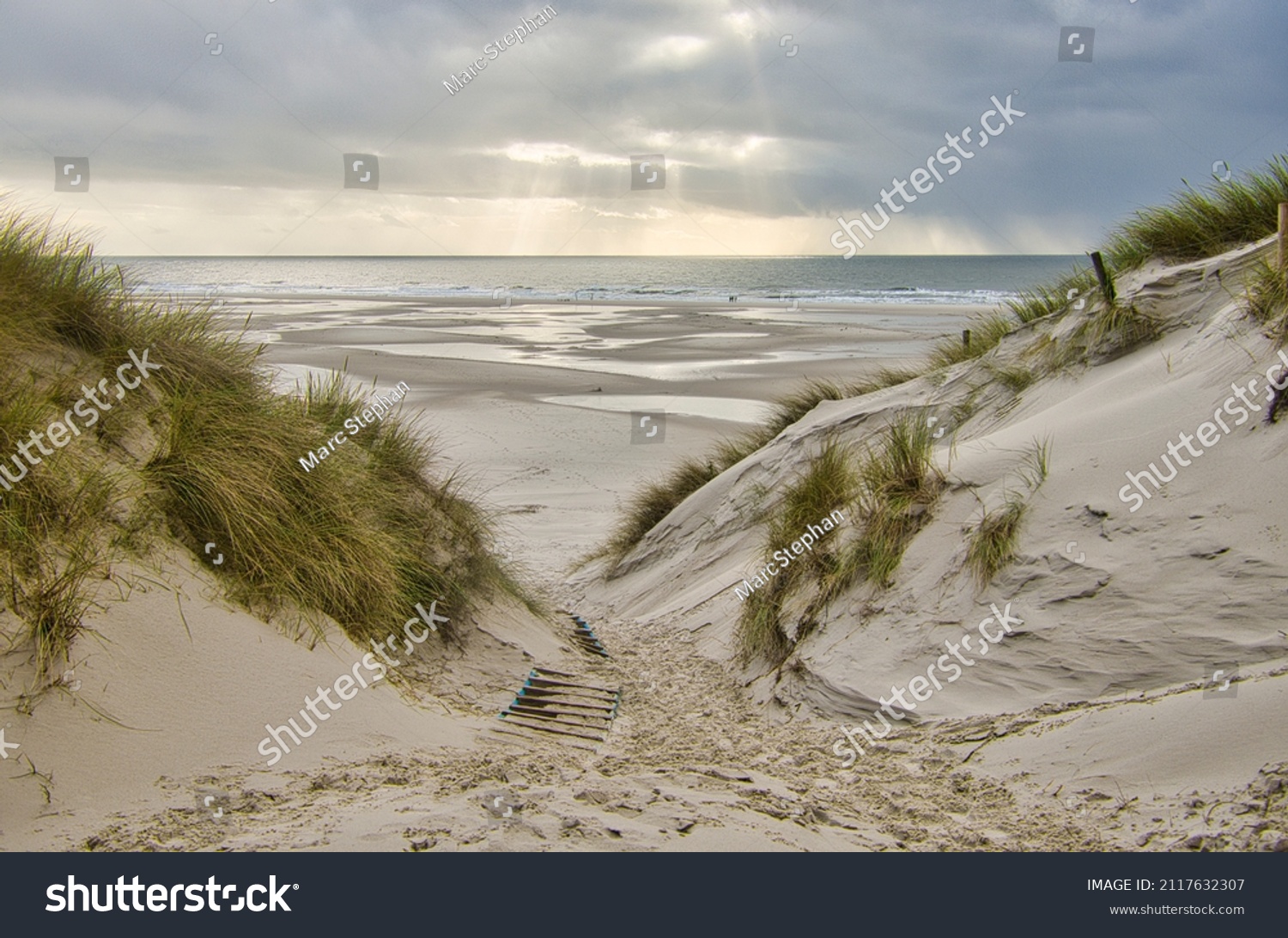 Dunes at the Beach of Amrum, Germany, Europe #2117632307