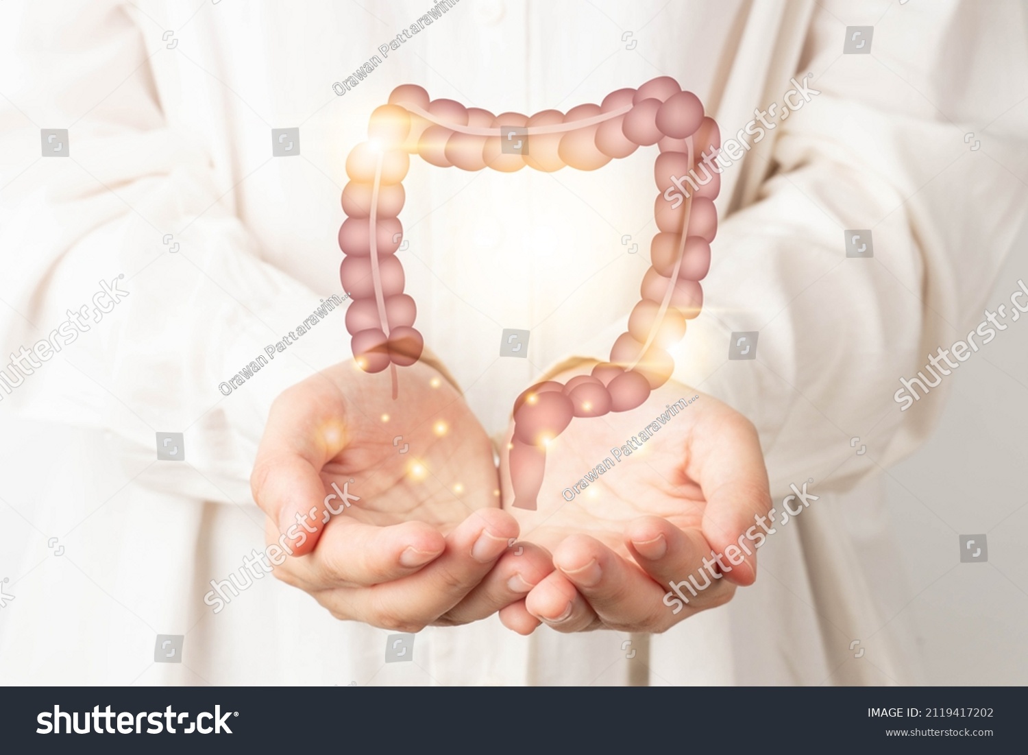 Healthy large intestine anatomy on doctor hands. Concept of healthy bowel digestion, colon cancer screening, intestinal disease treatment or colorectal cancer awareness. #2119417202