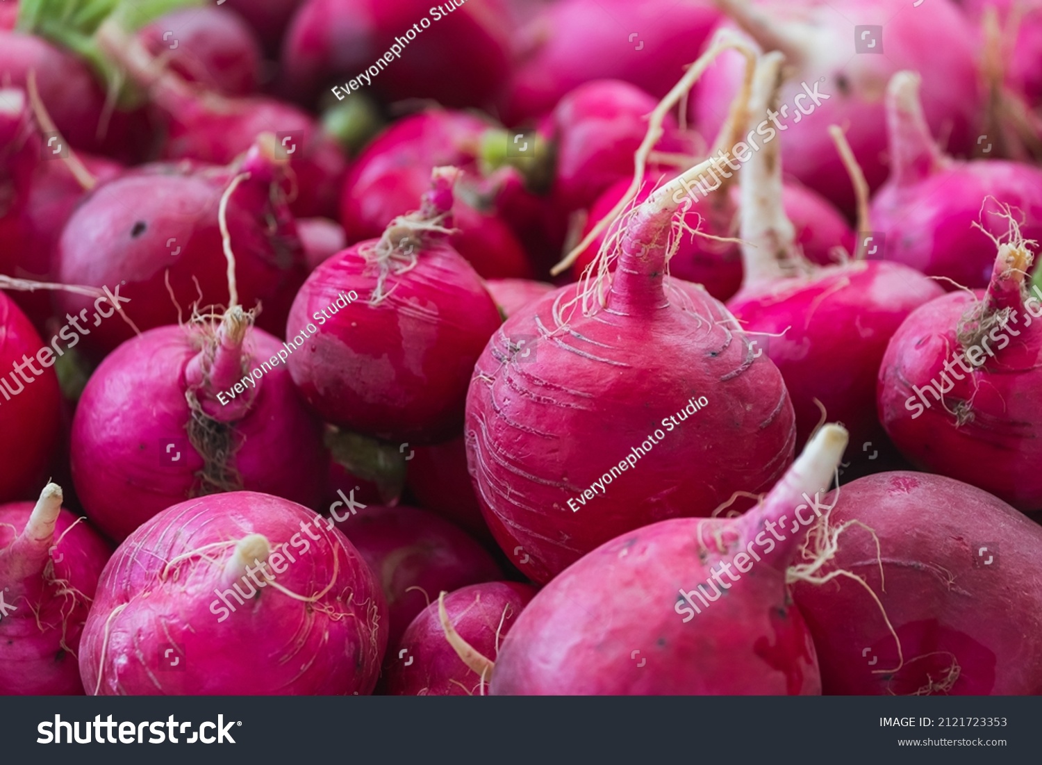 Fresh organic green radish on fresh market,  background. radish texture . A lot of organic radish  root #2121723353