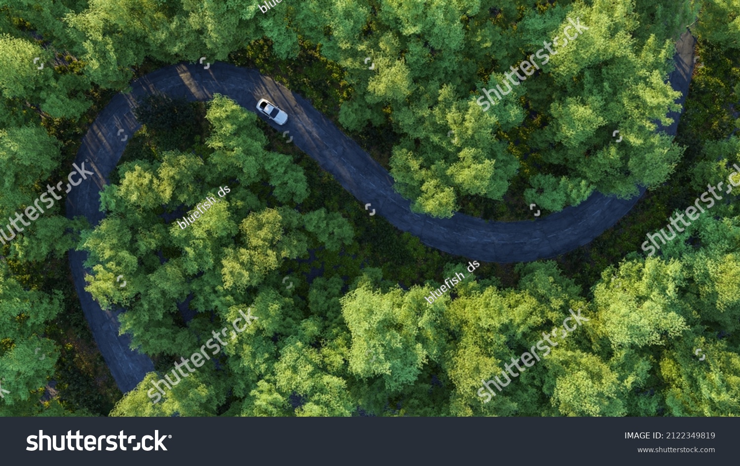 Adventure morning road trip in the forest, aerial view of a car on deep jungle road. On The Road Again concept. #2122349819
