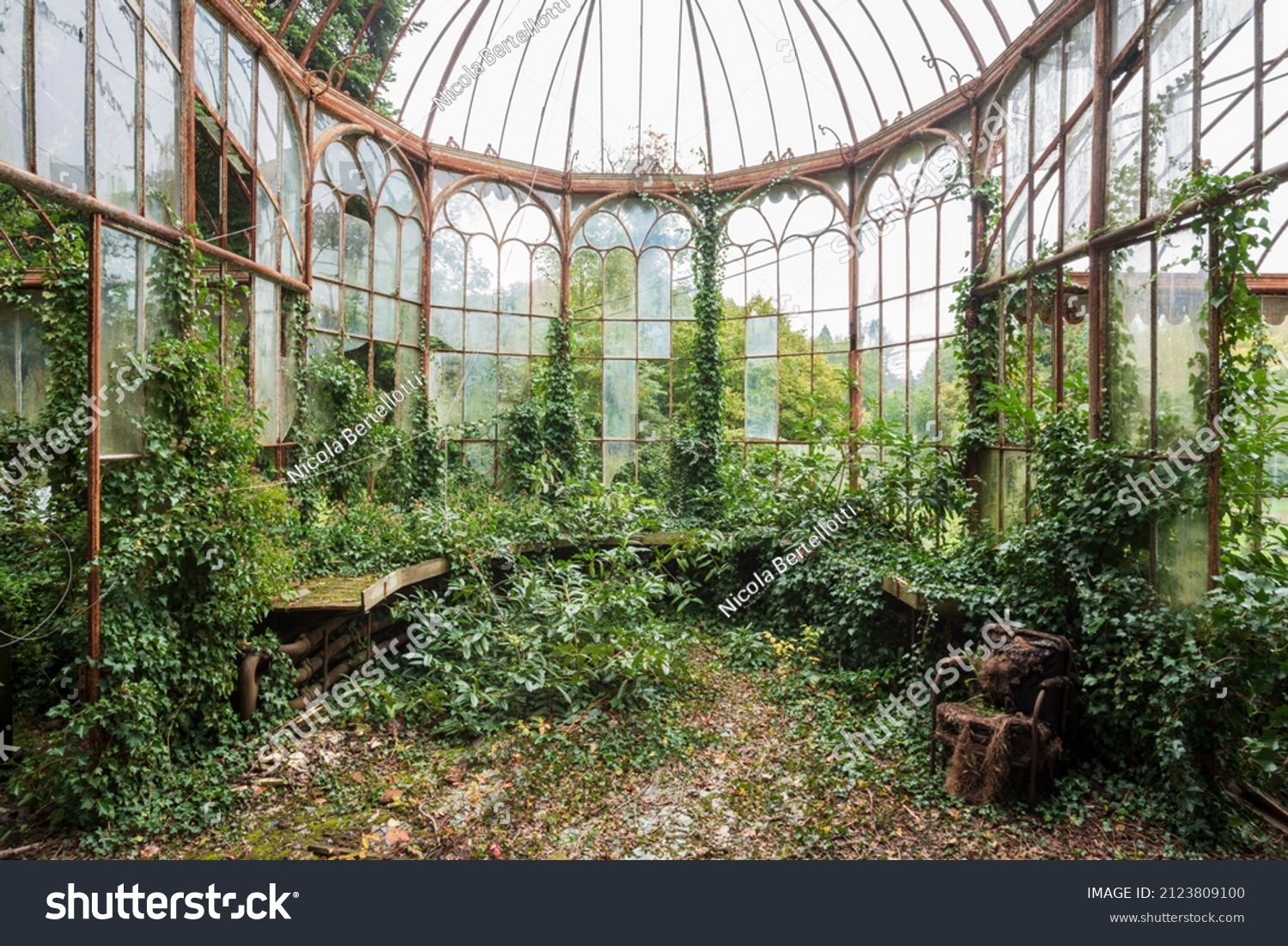 Abandoned greenhouse in Bruxelles, Belgium #2123809100