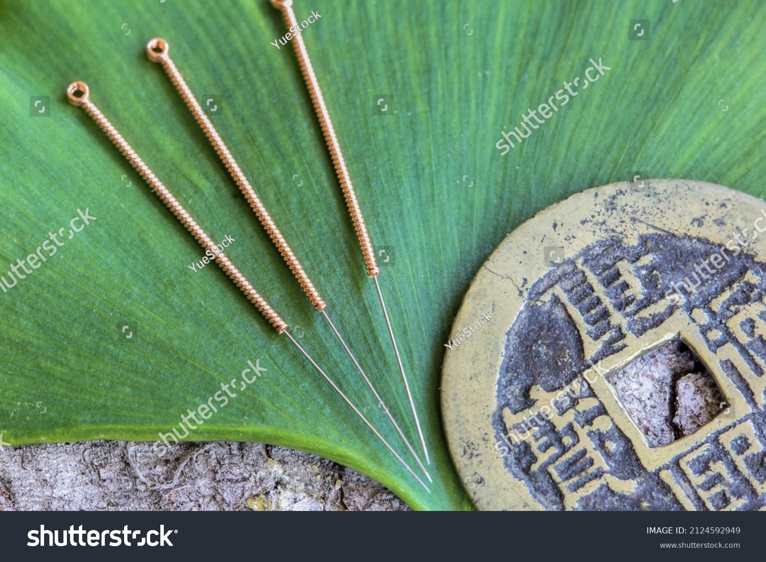 Acupuncture needles on an ancient chinese bronz coin and green ginkgo leaf (Words on the coin: Kangxi Dynasty Coins) - manual focus on needles #2124592949