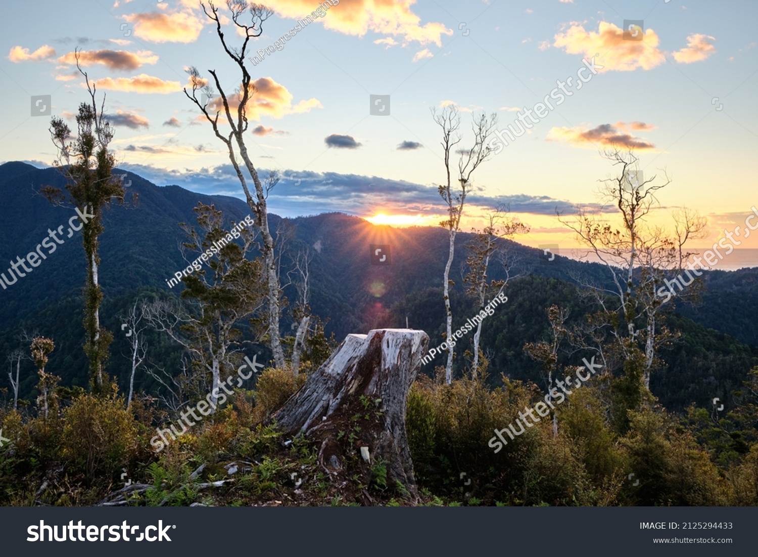 Paparoa National Park, New Zealand - December 26 2020: Paparoa Track Sunset Sun Star From Pororari Hut #2125294433