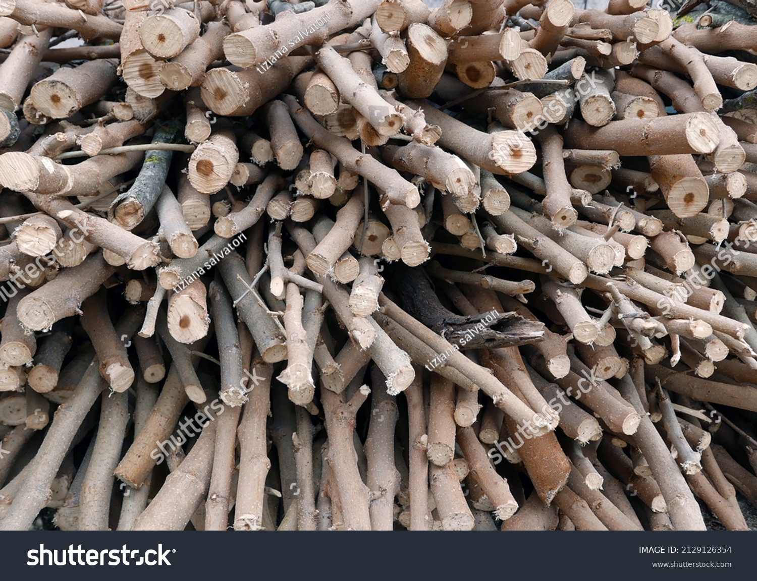 view of a stack of thin wooden logs in the countryside #2129126354