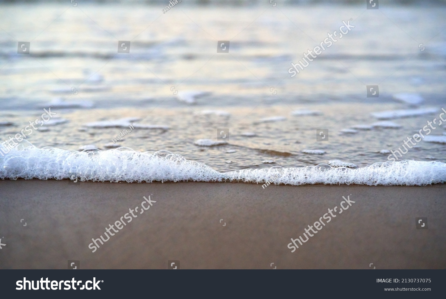 Close up of sea foam and wet sand. Botanical selective focus. High quality photo #2130737075