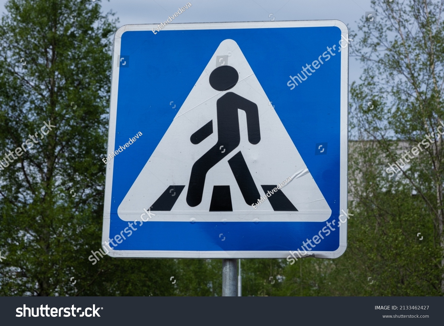 Road sign pedestrian crossing. Zebra crossing, pedestrian cross warning traffic sign in blue and pole #2133462427