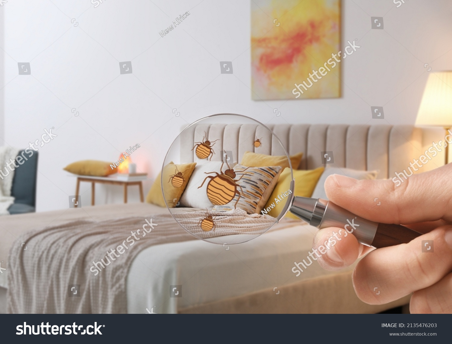 Woman with magnifying glass detecting bed bugs in bedroom, closeup #2135476203
