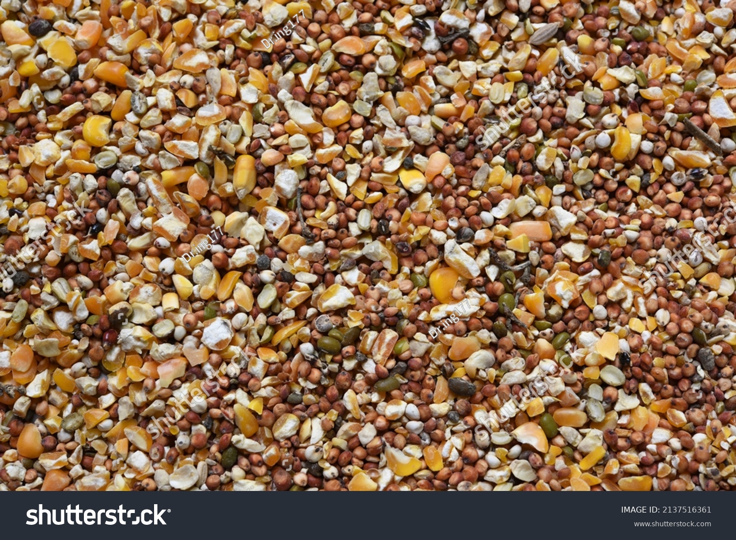 Texture of seed and grain mix for bird feed and livestock . #2137516361
