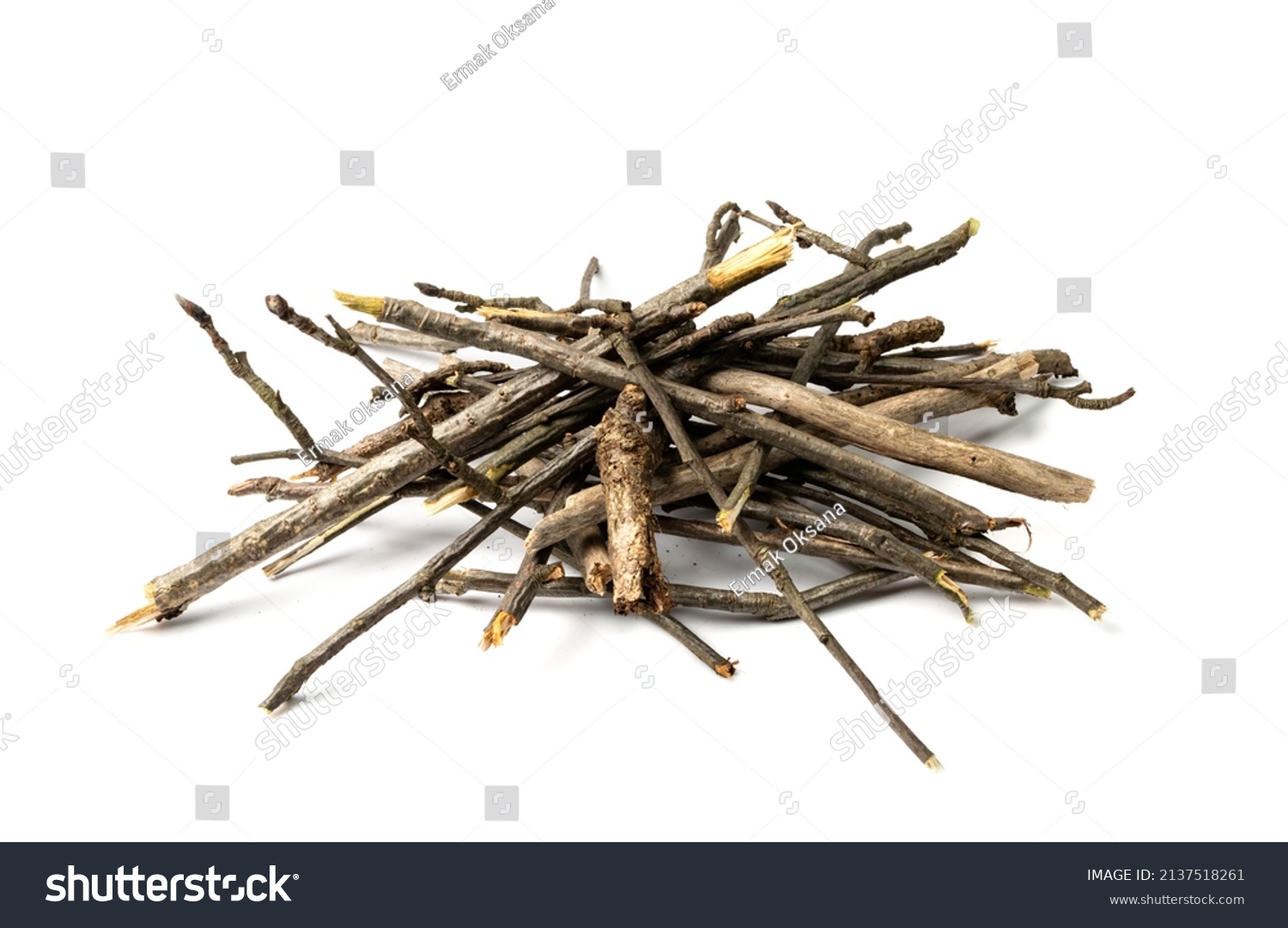 Branches pile isolated. Dry twigs pile ready for campfire, sticks, boughs heap for a fire, dry thin branches, brushwood #2137518261