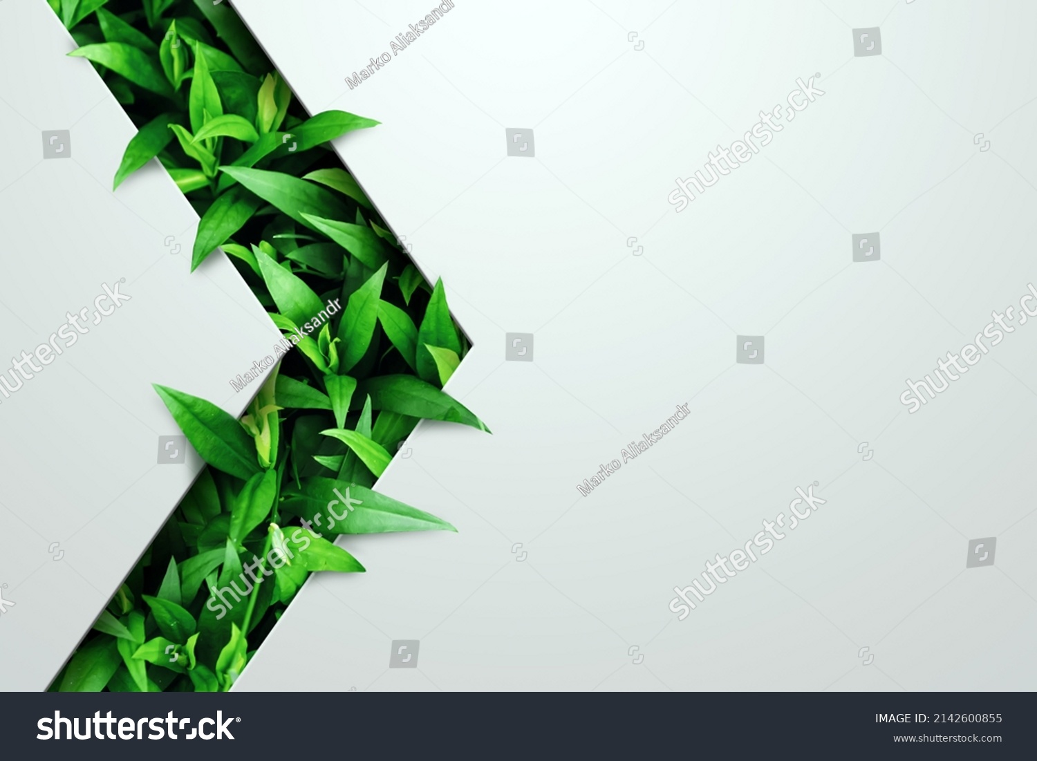 Natural concept, environment and organic products. Green abstract arrow, natural design. Natural design, flyer layout, marketing material, copy space #2142600855