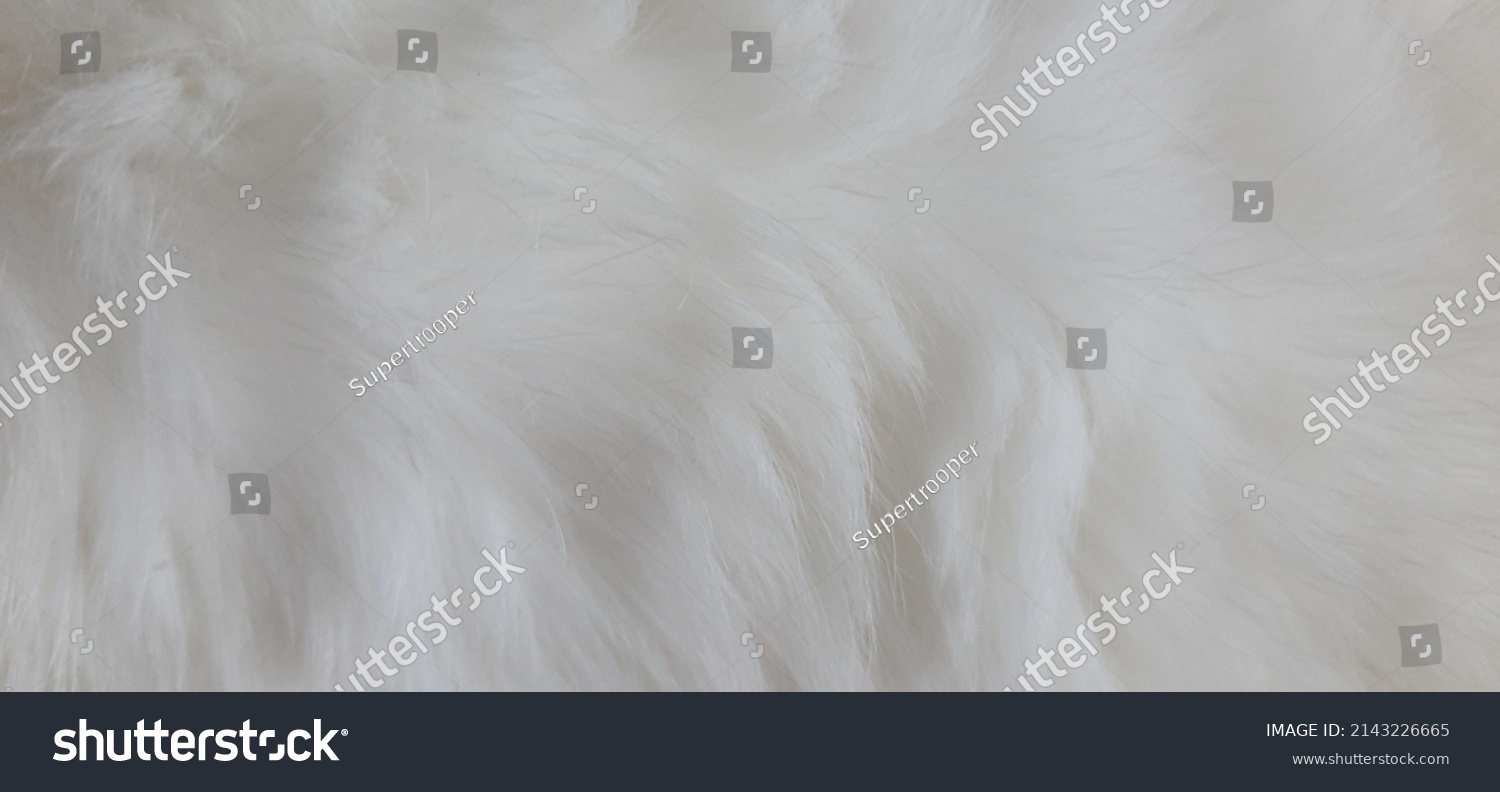 Cat Fur Texture Pattern Background, Natural Long Hair Fur Texture Top View, White Clean Wool, Light Natural Sheep Wool Cotton Texture of Fluffy Fur, Close-up Fragment White Wool Carpet Sheepskin #2143226665