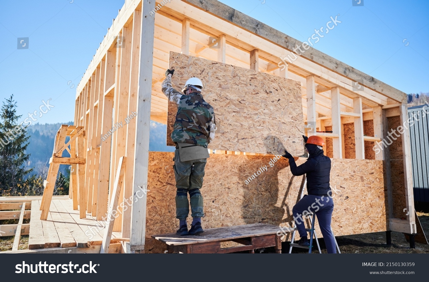 Carpenters mounting wooden OSB board on the wall of future cottage. Men workers building wooden frame house on pile foundation. Carpentry and construction concept. #2150130359