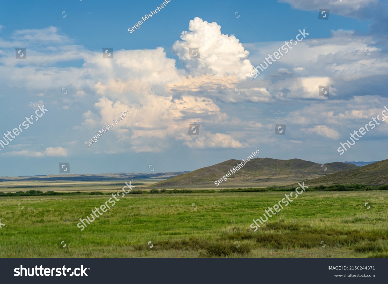 steppe, prairie, - grassy plain in the temperate and subtropical zones of the northern and southern hemisphere. Plateau. Hills. #2150244371