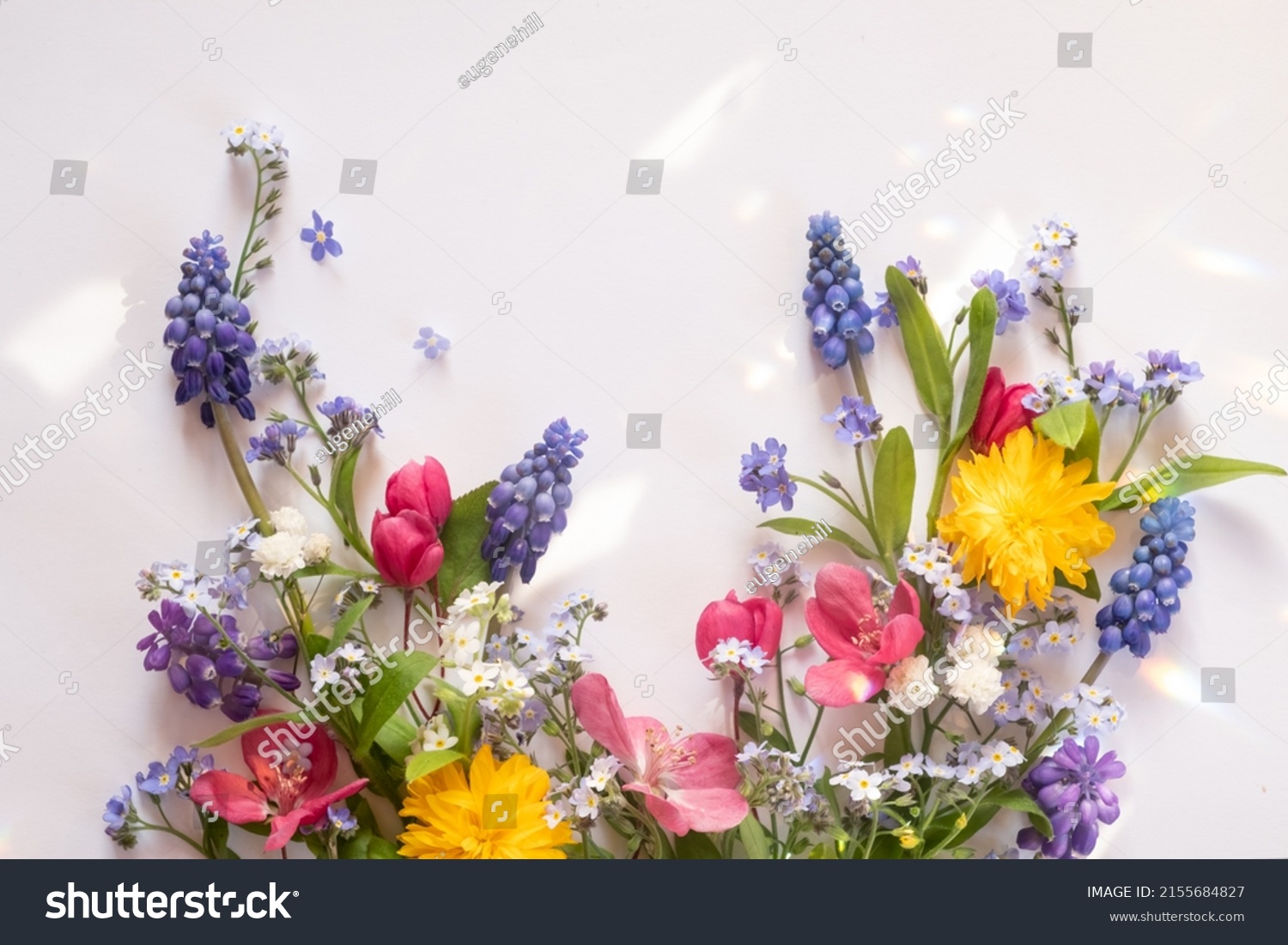 floral layout from different wildflowers on a white background. Beautiful light reflections. Top view. wildflowers flat lay  #2155684827