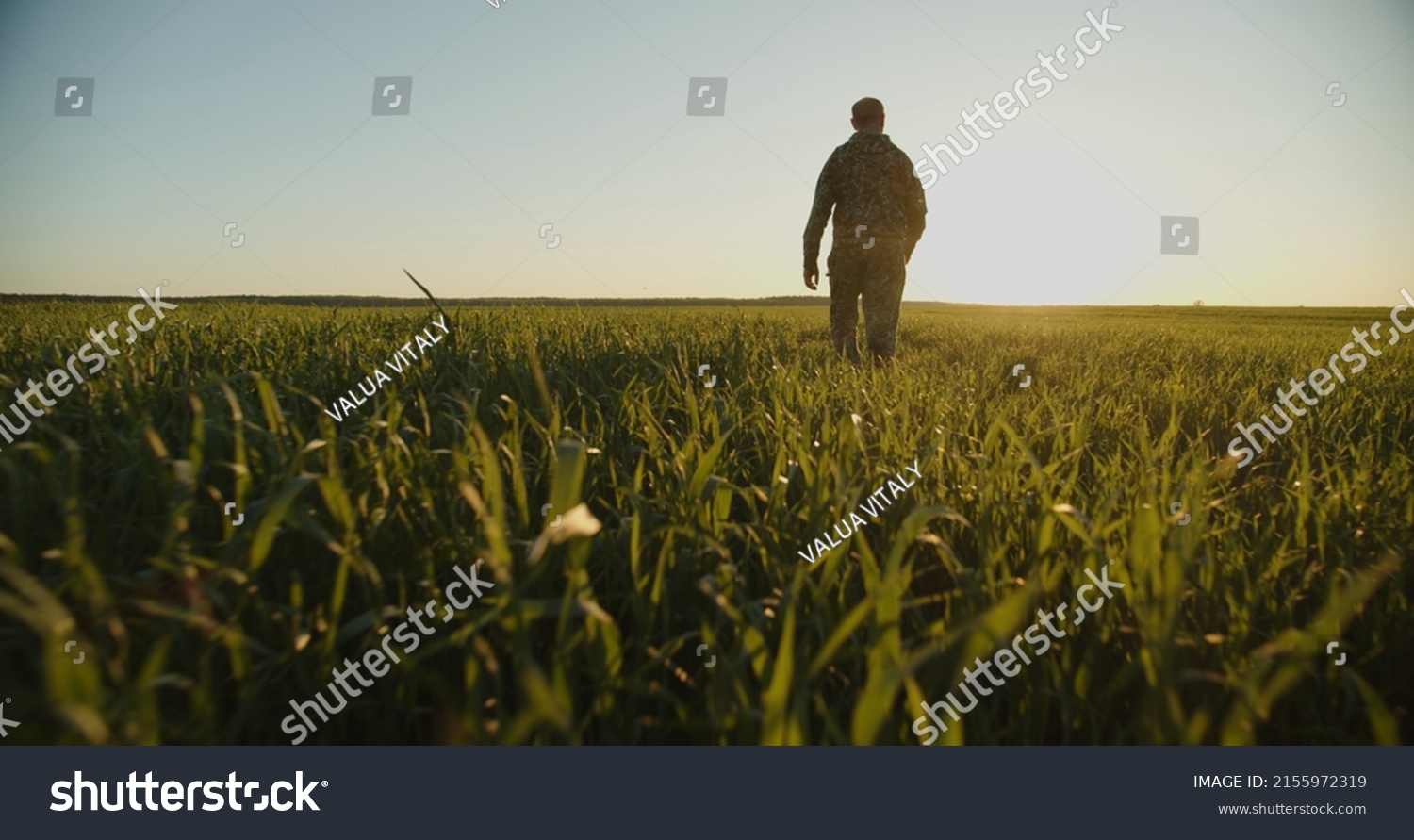  Farmer walks through a young green field during sunset. Adult man farmer walking and checks  his agriculture field. Human walking on agriculture field.   Person walks on high green grass #2155972319