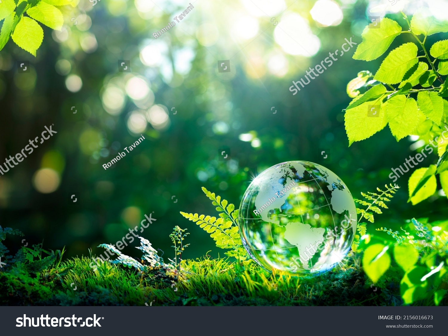 Environment. Glass Globe On Grass Moss In Forest - Green Planet With Abstract Defocused Bokeh Lights - Environmental Conservation Concept #2156016673
