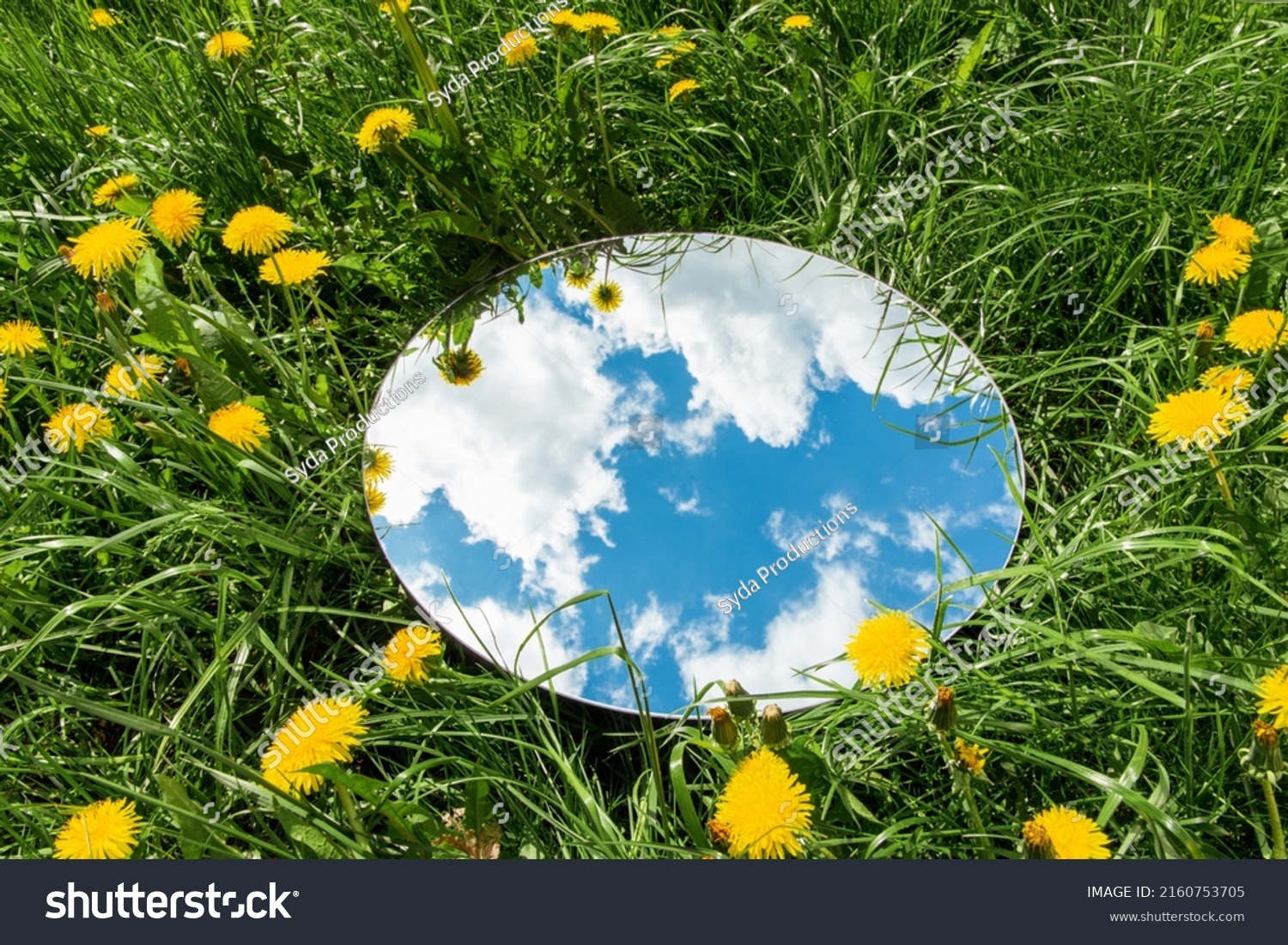 nature concept - sky reflection in round mirror on summer field with dandelion flowers #2160753705