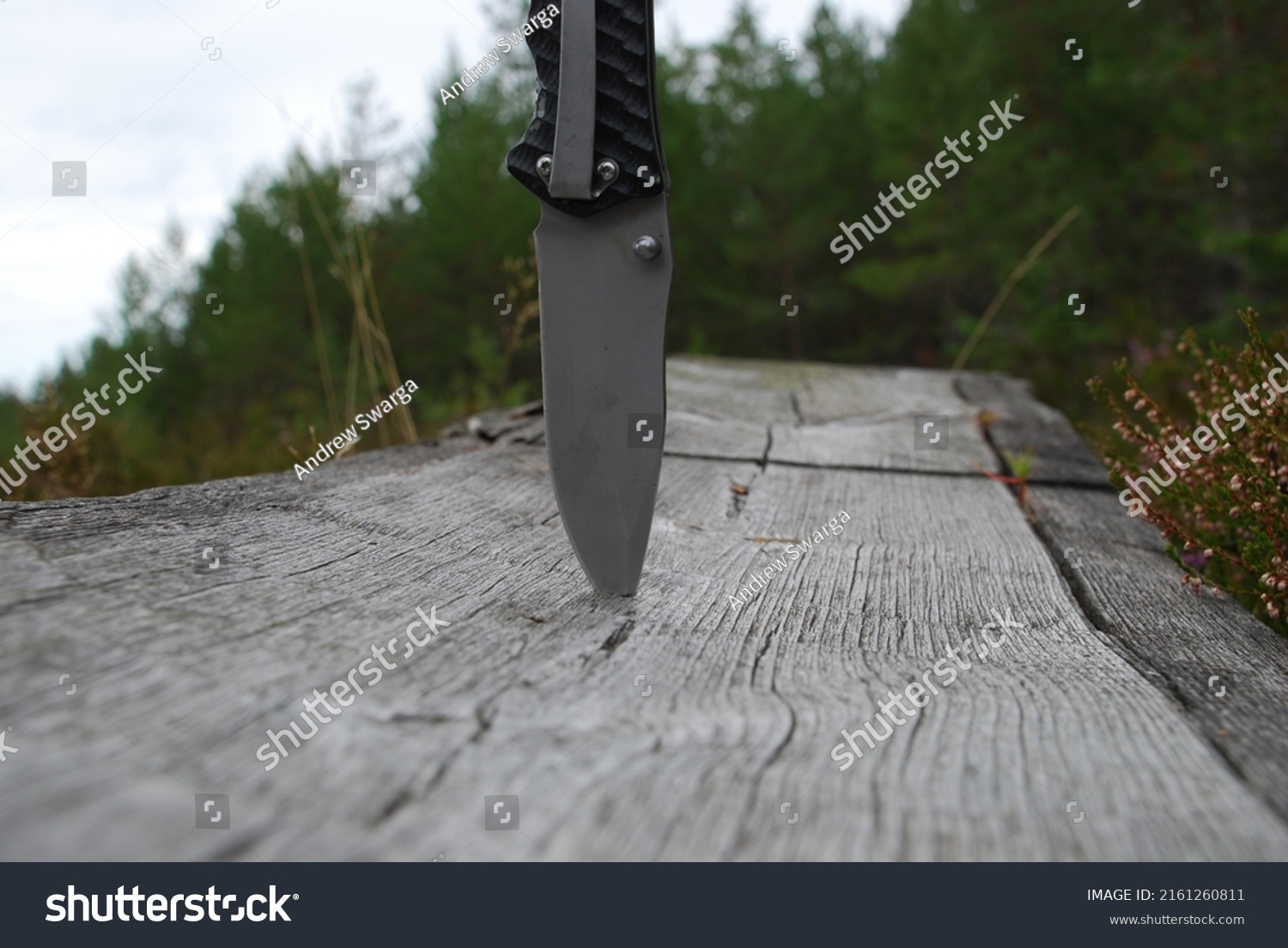Sharp metal knife blade. A hunting knife with a wide steel blade is stuck into the wooden surface of the forest bench. Sharp blade in grey. Behind him are green trees and the sky. #2161260811