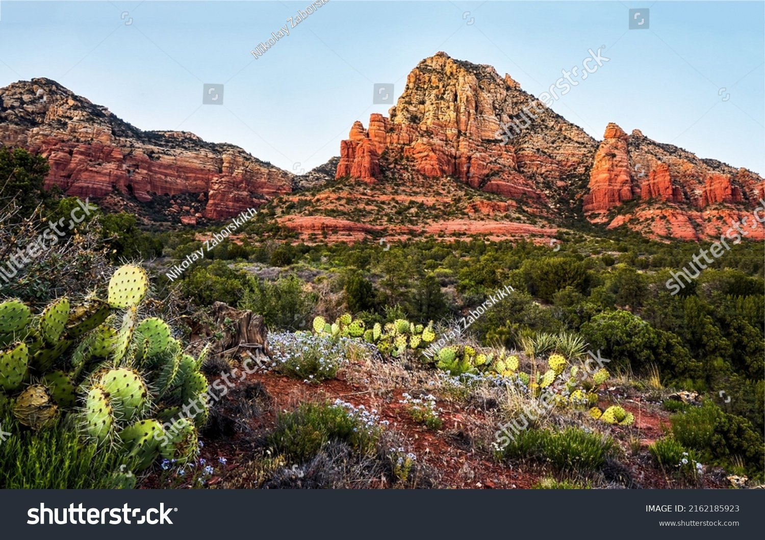 Cactus desert in the canyon. Canyon desert with cactuses. Canyon cactus desert landscape. Red canyon desert scene #2162185923