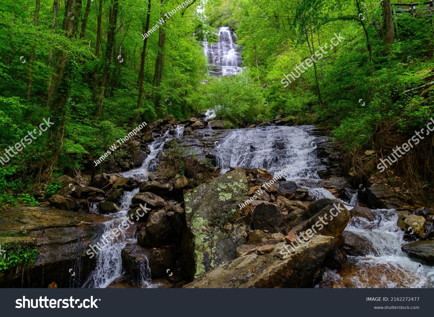 The top fo Amicalola Falls in the Springtime, near Dawsonville, Georgia. #2162272477