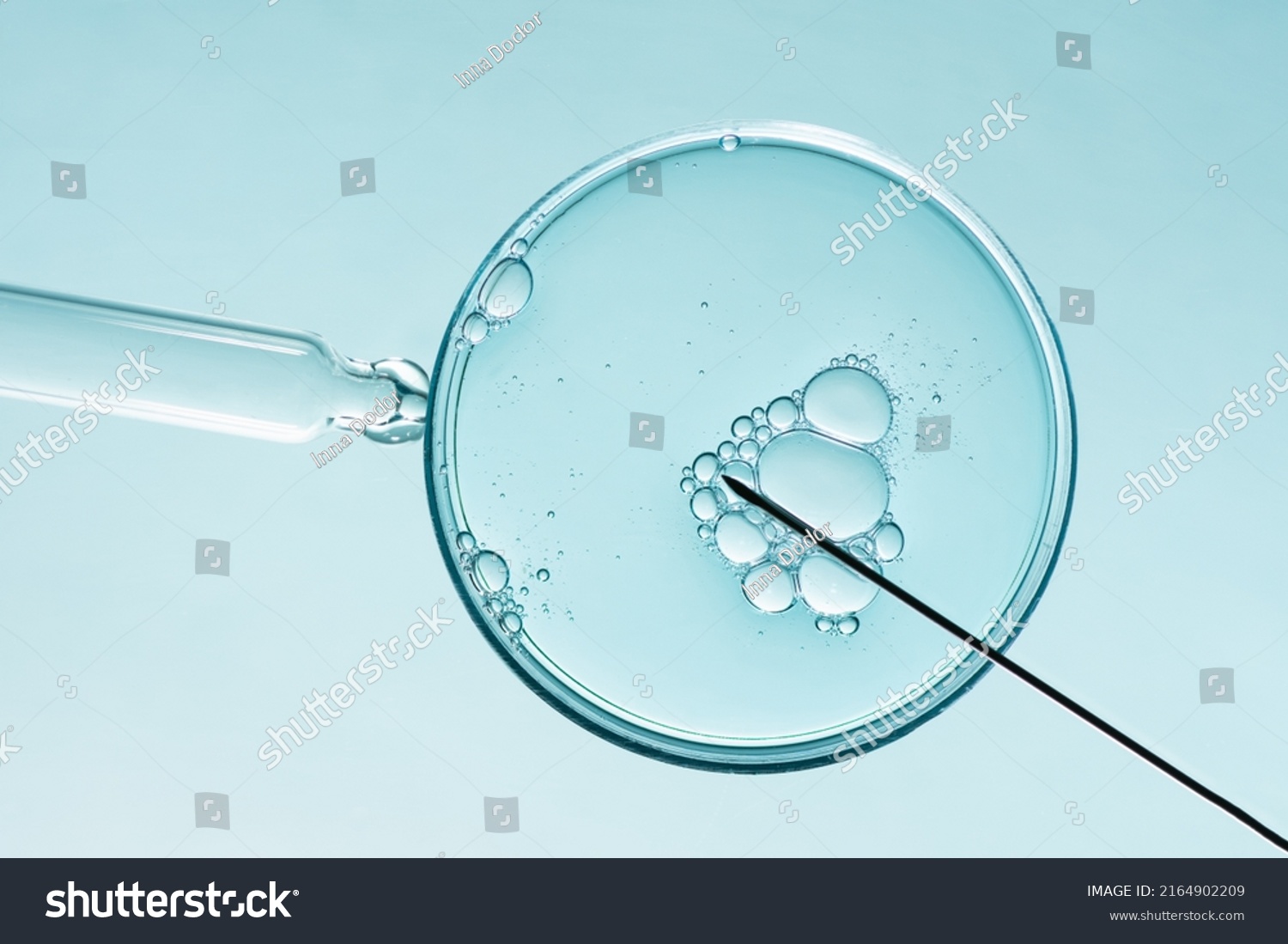 In vitro fertilisation concept. Artificial insemination or fertility treatment macro photography.  #2164902209