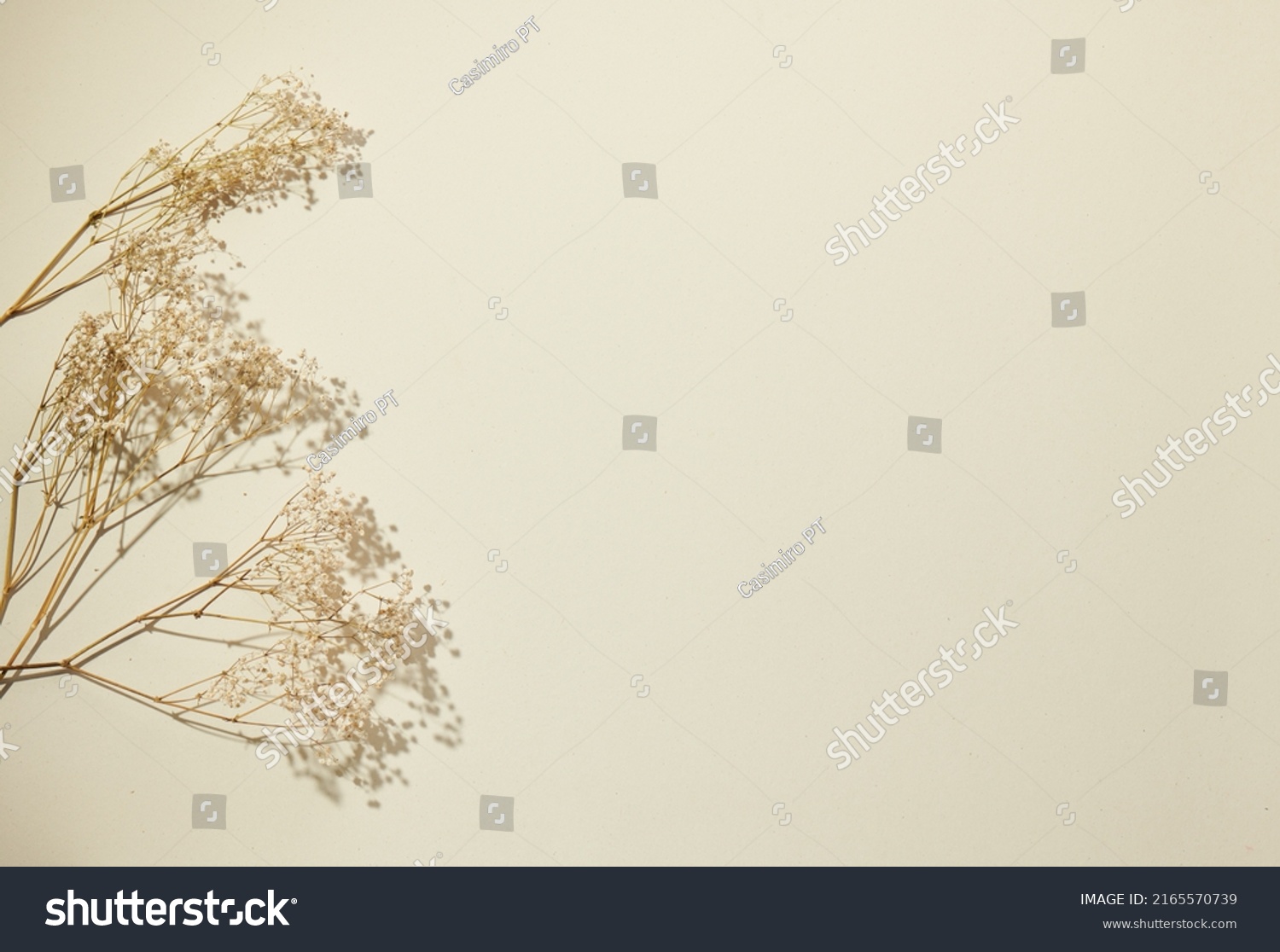 Flatlay minimal natural beige background with empty space. Template for branding and product presentation. Still life photo, table dry plants #2165570739