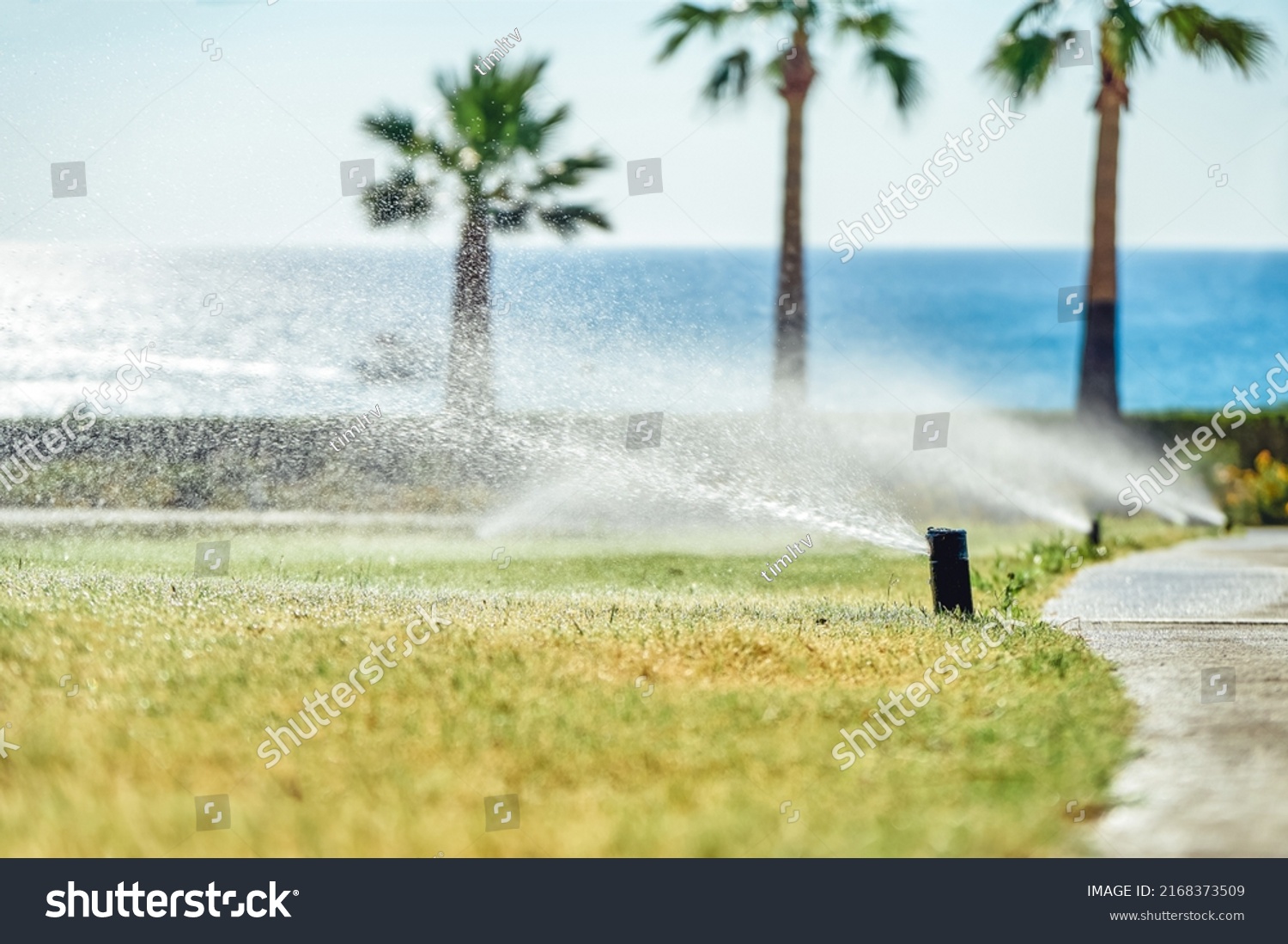 Watering system sprays water on green lawn on territory of hotel. Grass watered on bright sunny day at resort. Summer vacation close view #2168373509