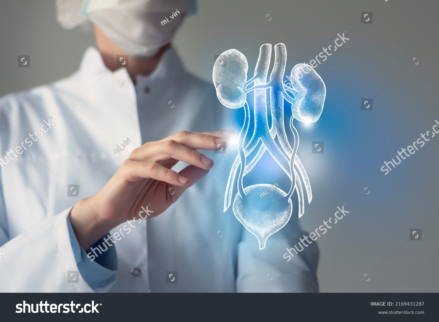 Female doctor touches virtual Bladder and Kidneys in hand. Blurred photo, handrawn human organ, highlighted blue as symbol of recovery. Healthcare hospital service concept stock photo #2169431287