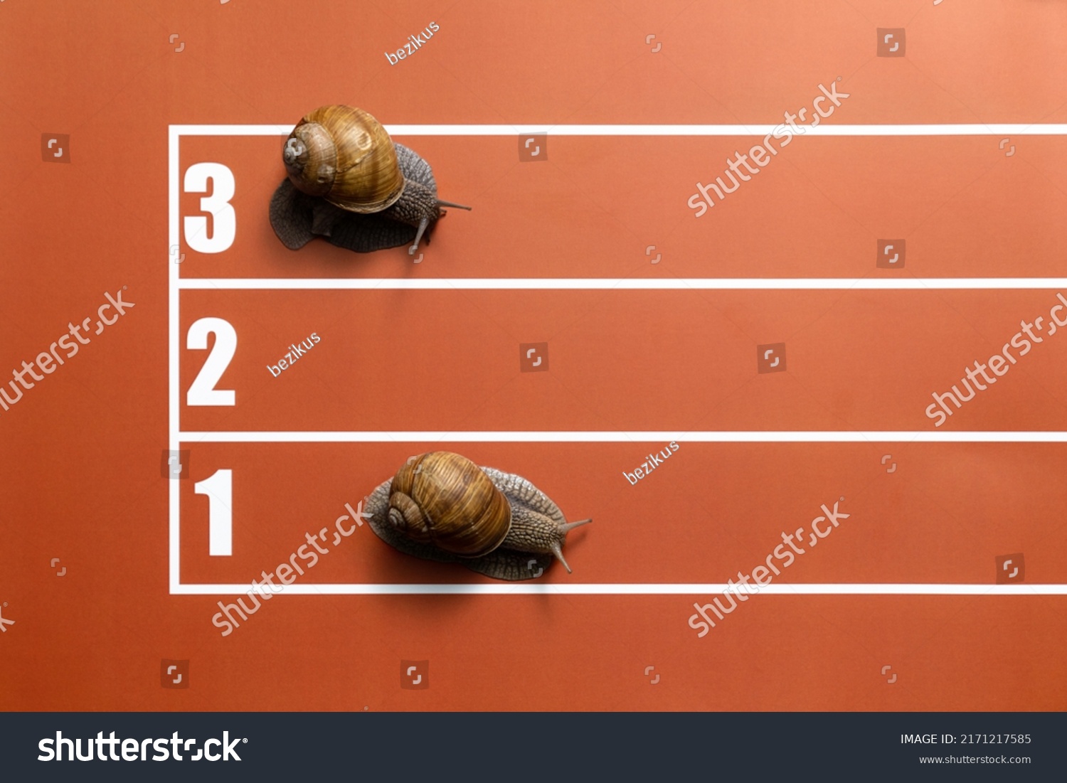 Joke competition of snails on stadium tracks #2171217585