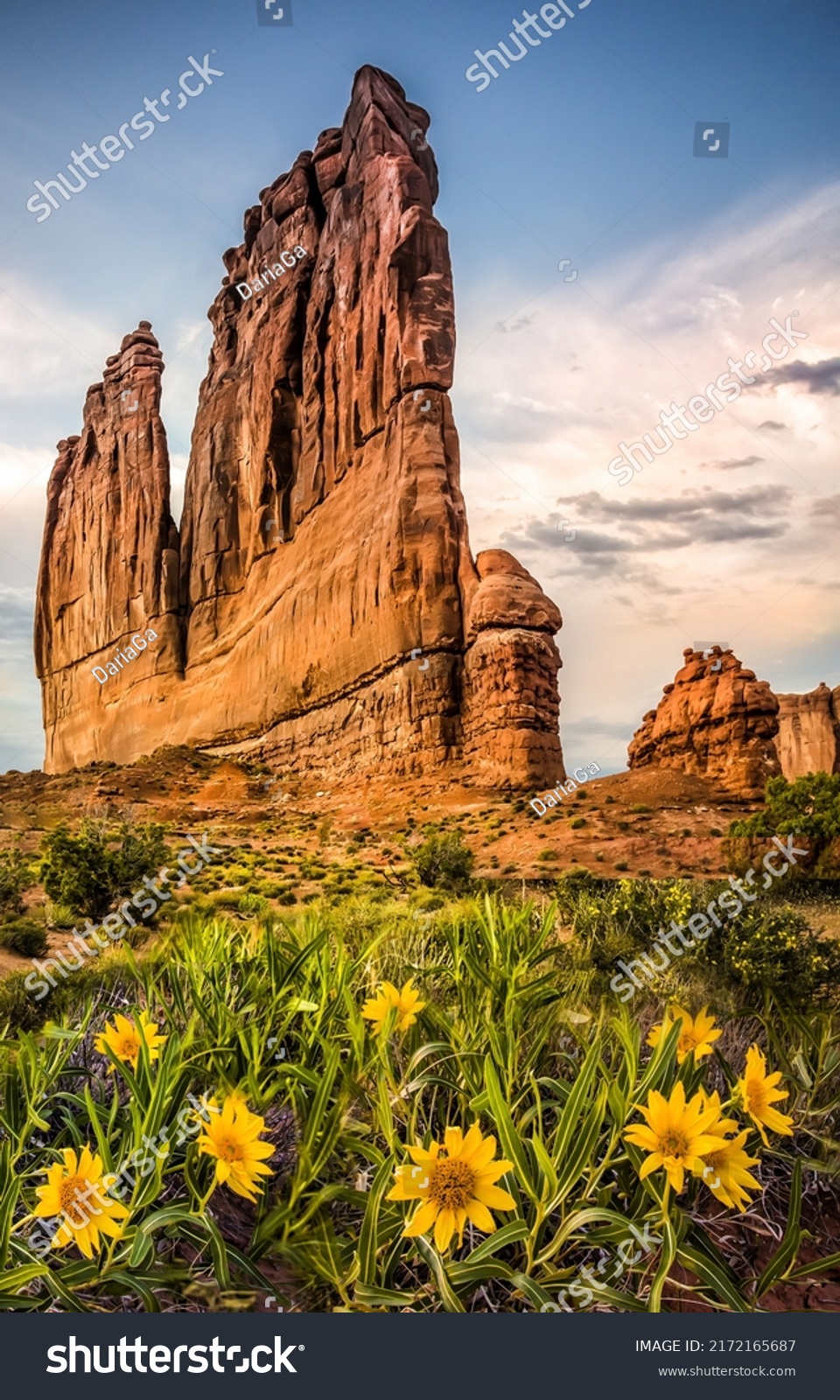 Flowers at the red rocks in the canyon. Red rock canyon cliffs. Cliff in red rock canyon. Canyon desert flowers #2172165687