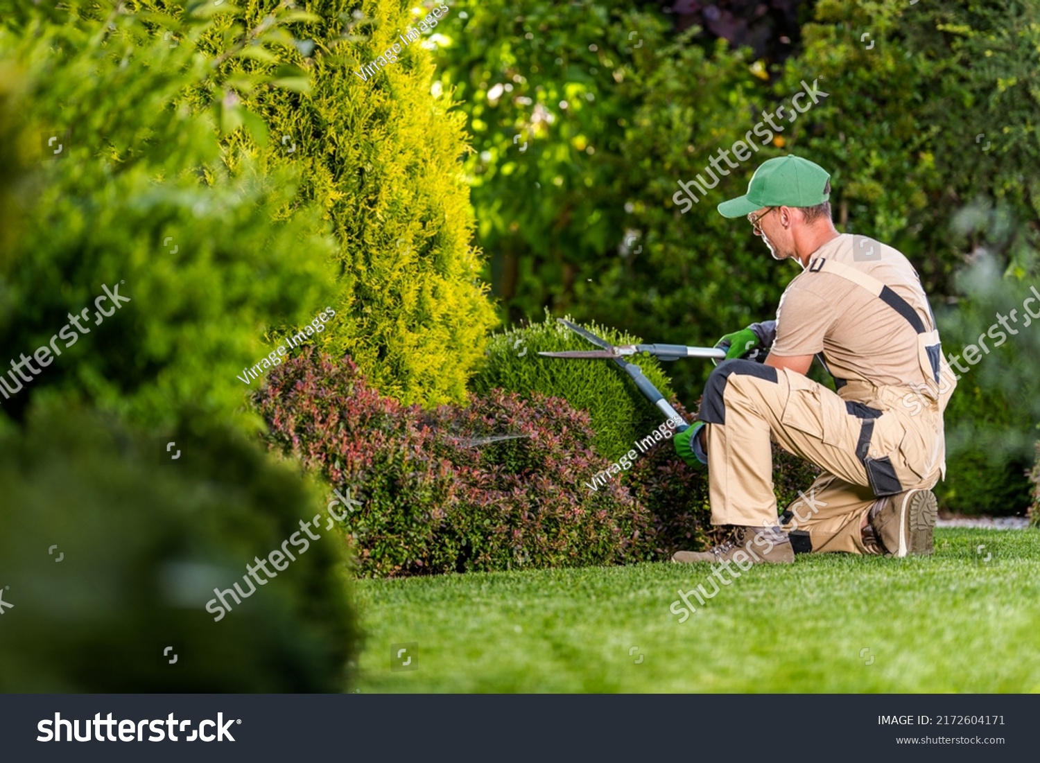 Garden Pruning Works to Maintain the Appearance of Shrubs, Bushes, Trees and Other Plants. Professional Landscaper Cutting the Overgrown Sprigs and Leaves with Garden Scissors. #2172604171