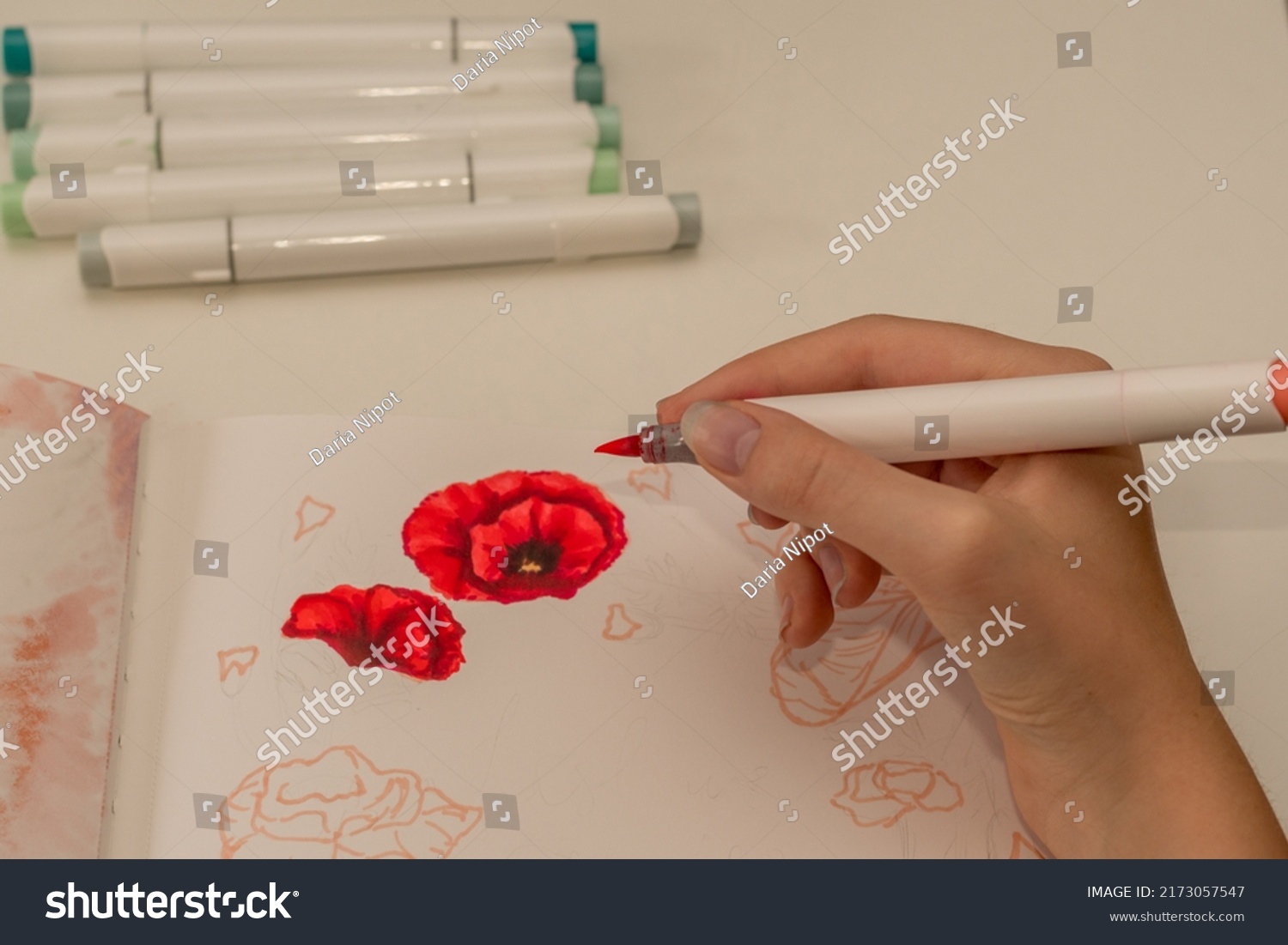 Hand drawing a red poppy wreath sketch in a sketchbook with alcohol based sketch drawing markers. Remembrance Day and Anzac day. #2173057547