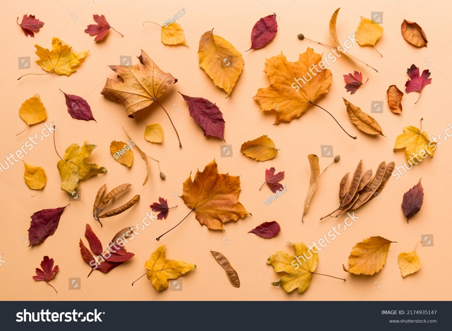 Autumn composition. Pattern made of dried leaves and other design accessories on table. Flat lay, top view. #2174935147