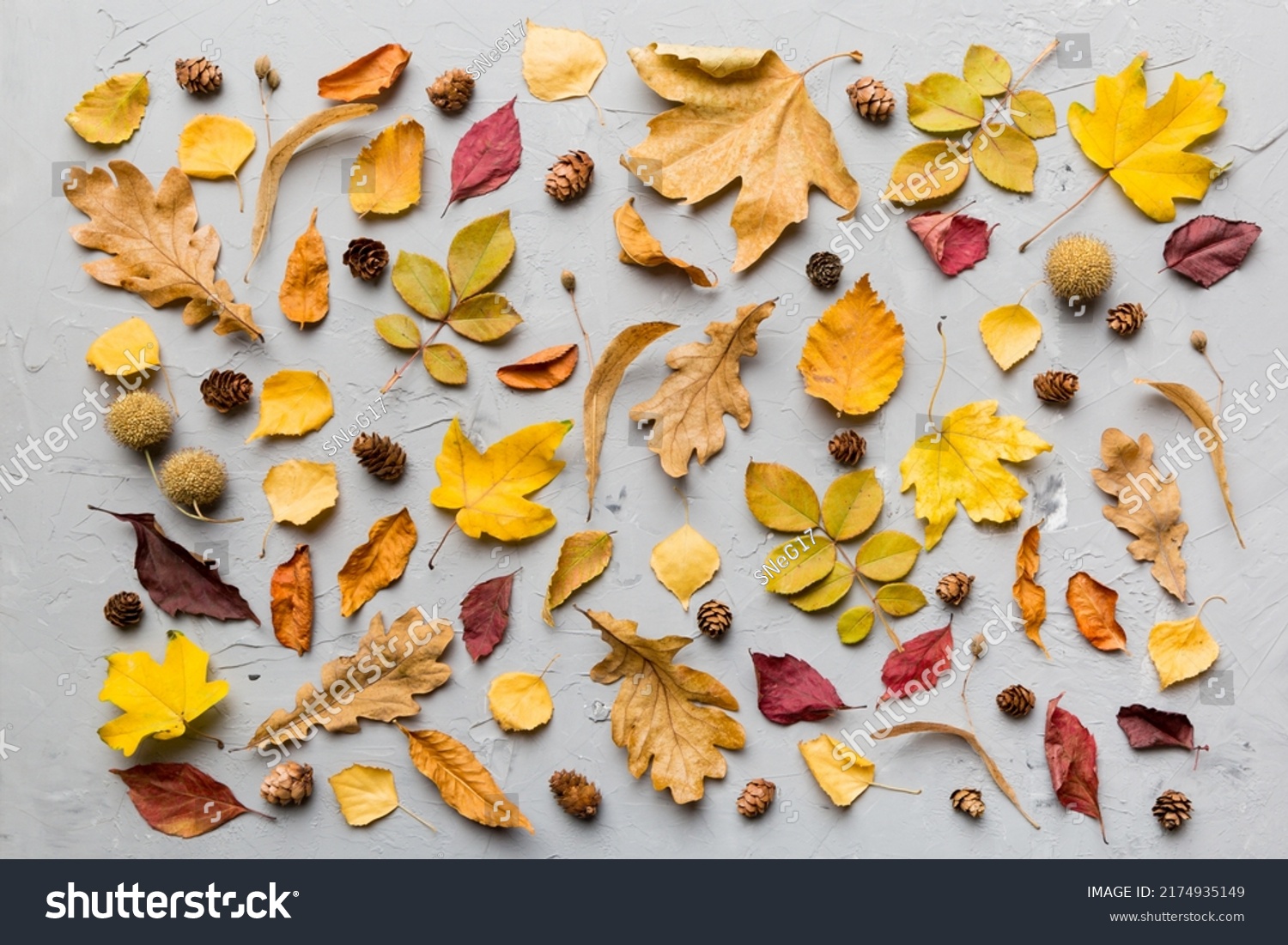 Autumn composition. Pattern made of dried leaves and other design accessories on table. Flat lay, top view. #2174935149